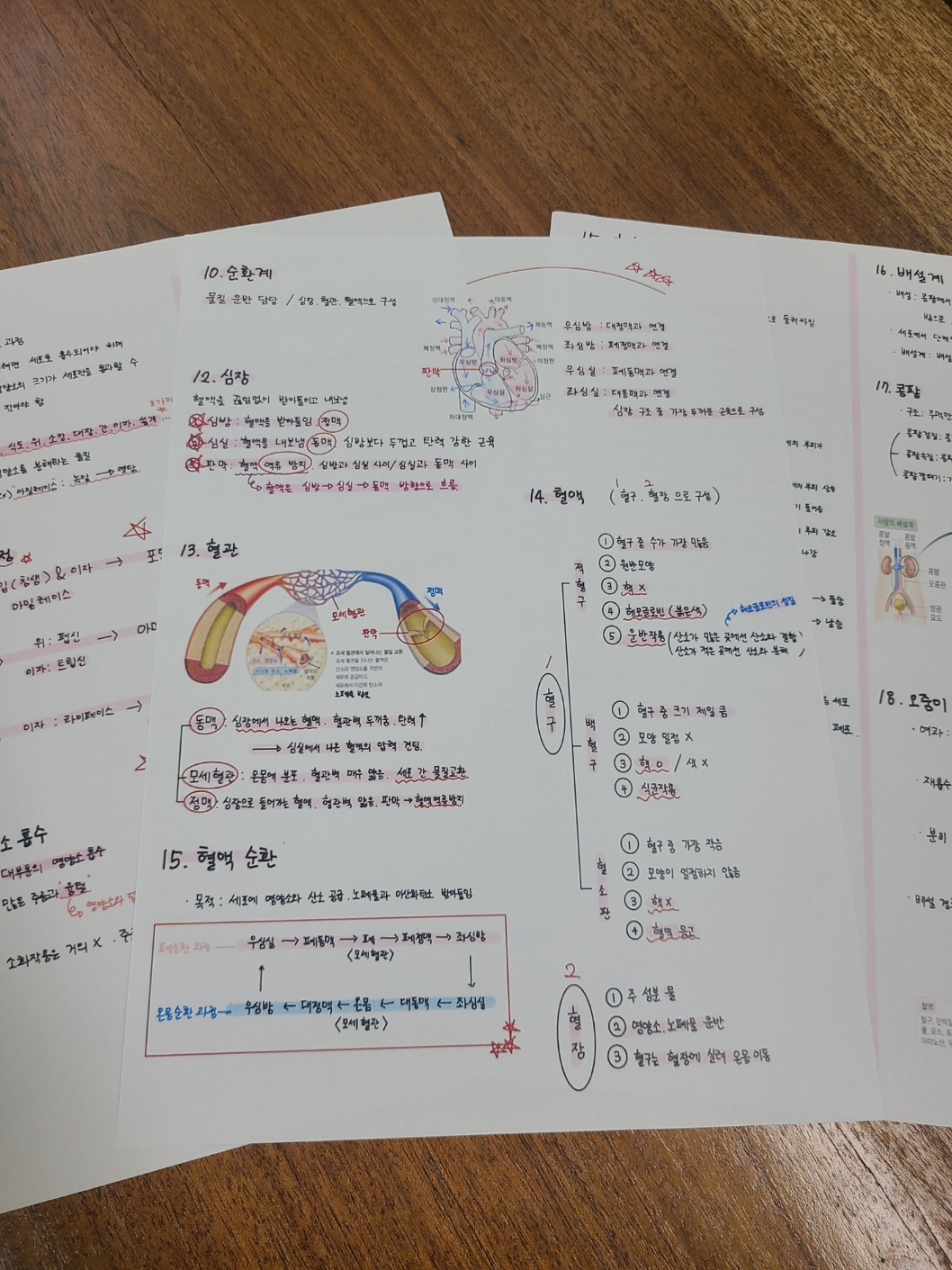 메타플랜학원