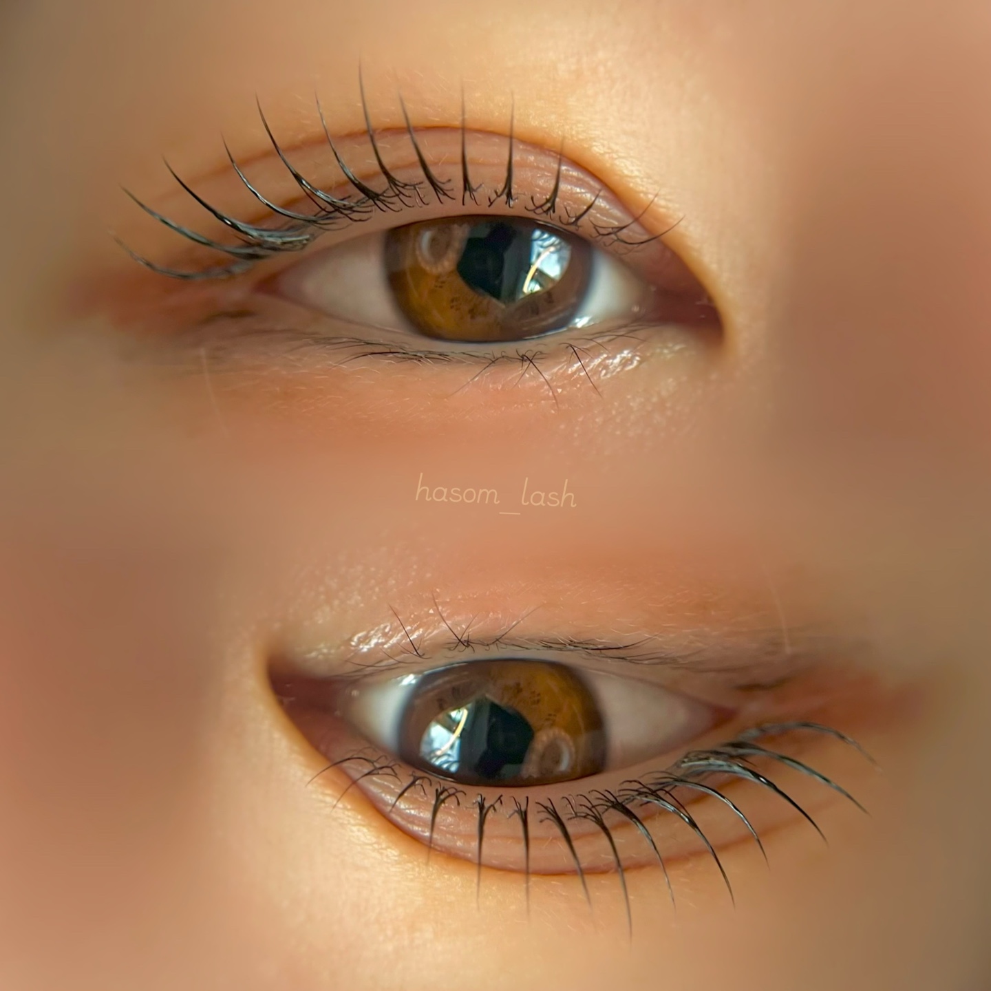 하솜래쉬 대표 이미지