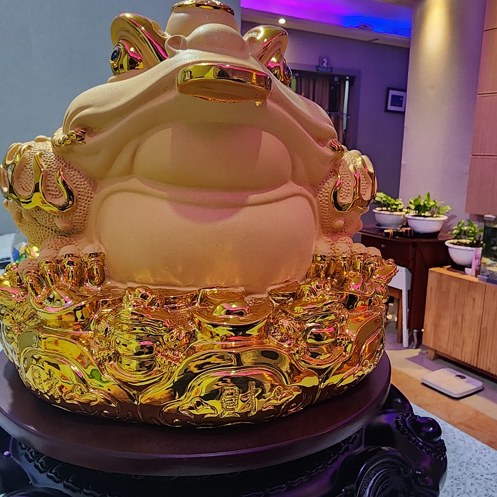 황실체형관리