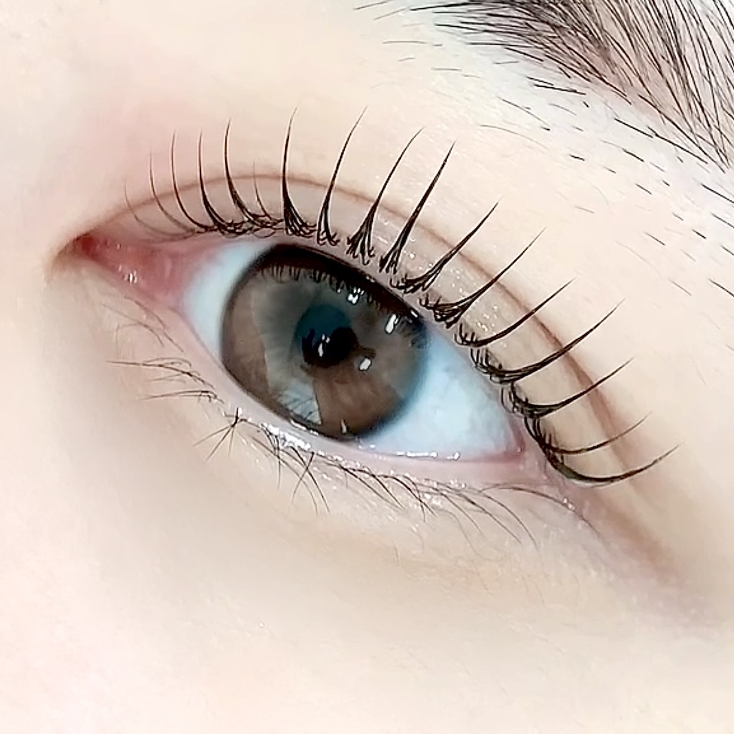 쥬네브로우 세종 대표 이미지