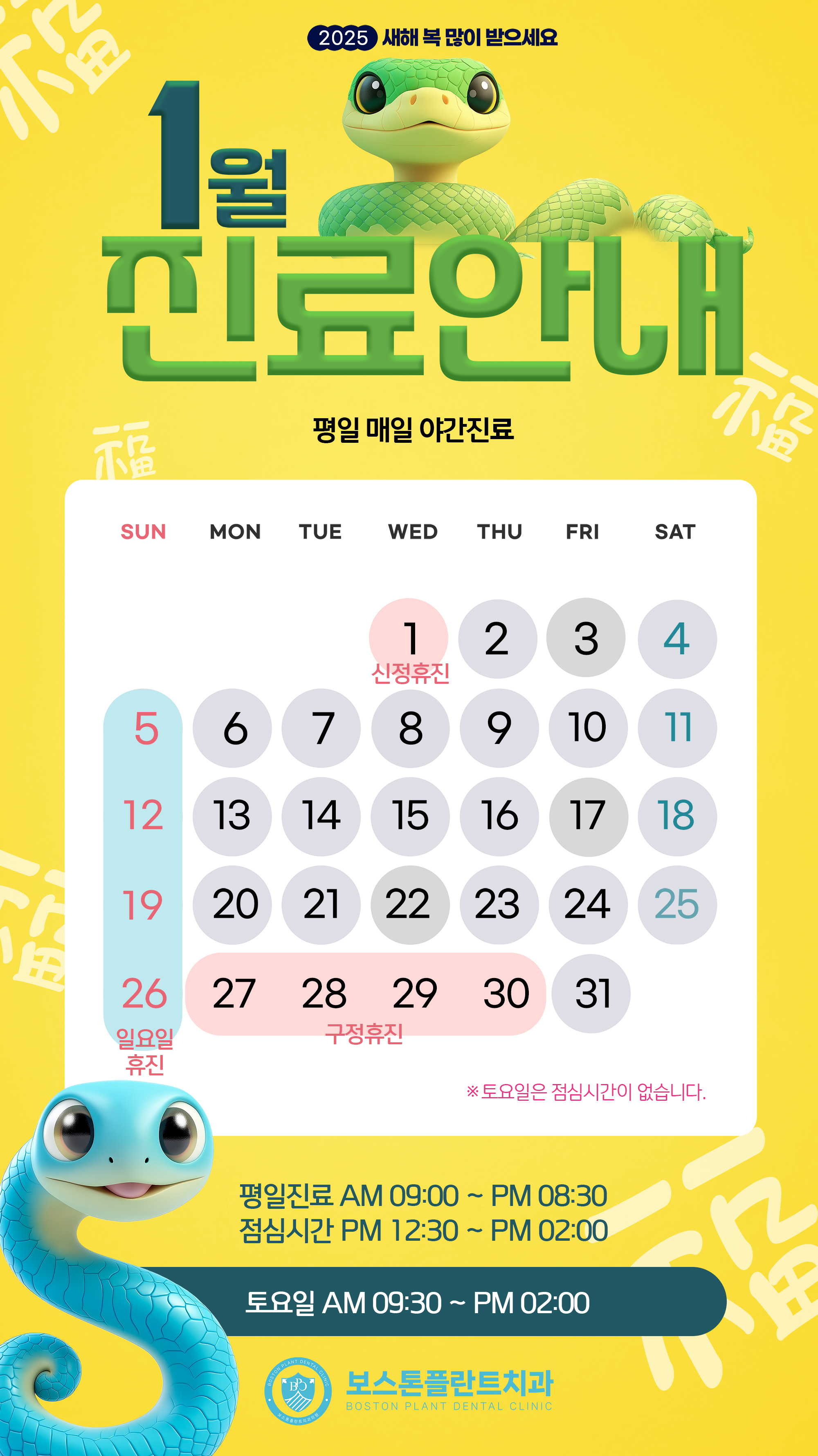 보스톤플란트치과 이미지