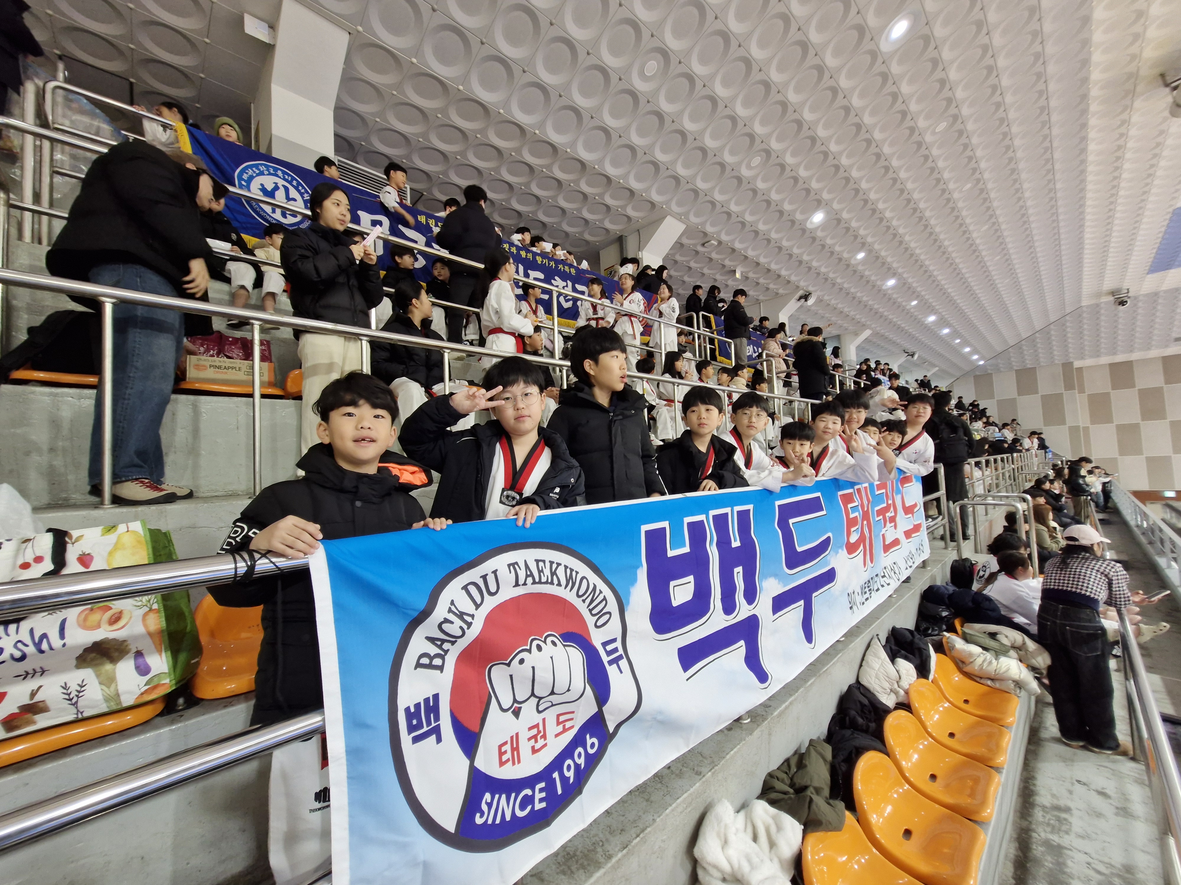 백두태권도