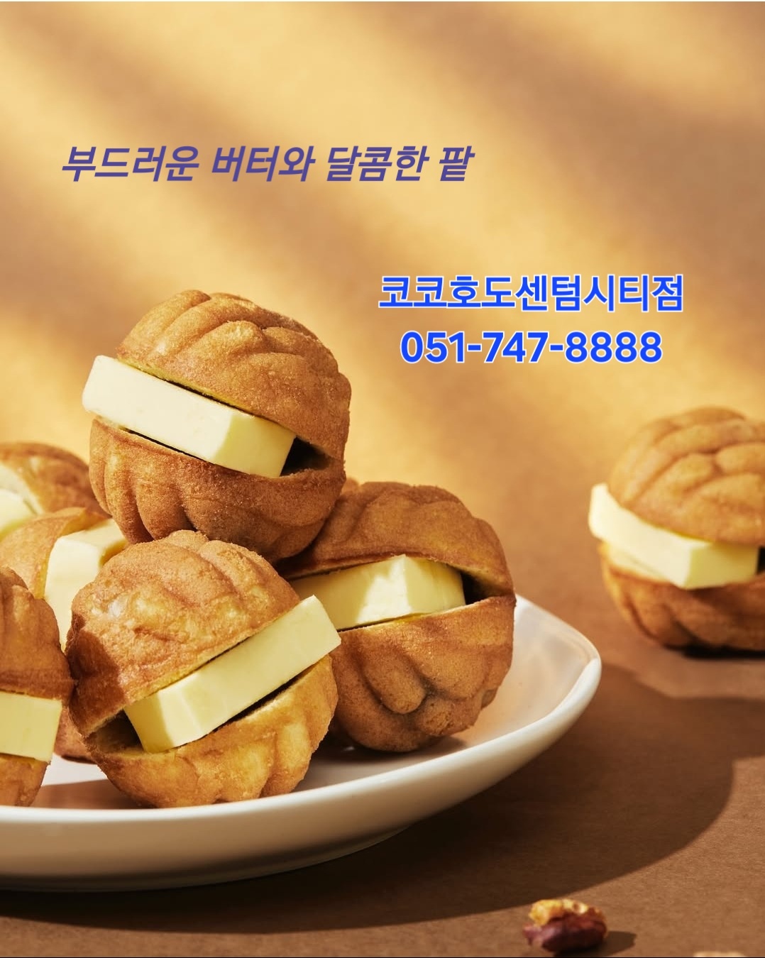 코코호도 센텀시티점