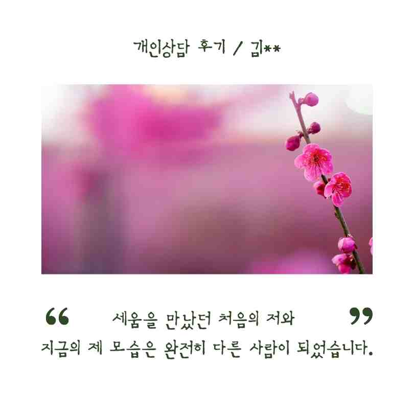 세움심리상담&부모교육연구소