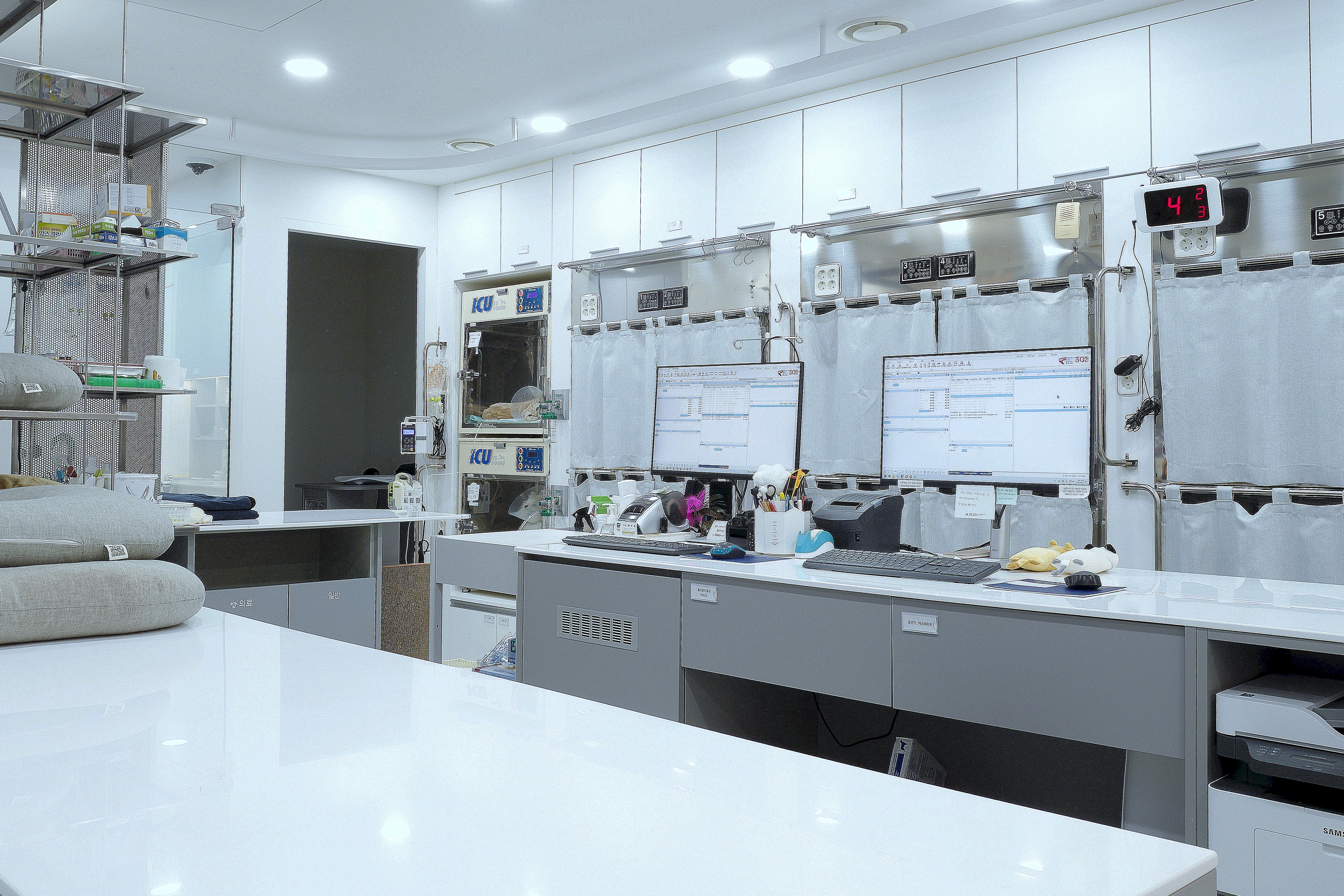 그레이스 고양이 심장&치과병원 대표 이미지