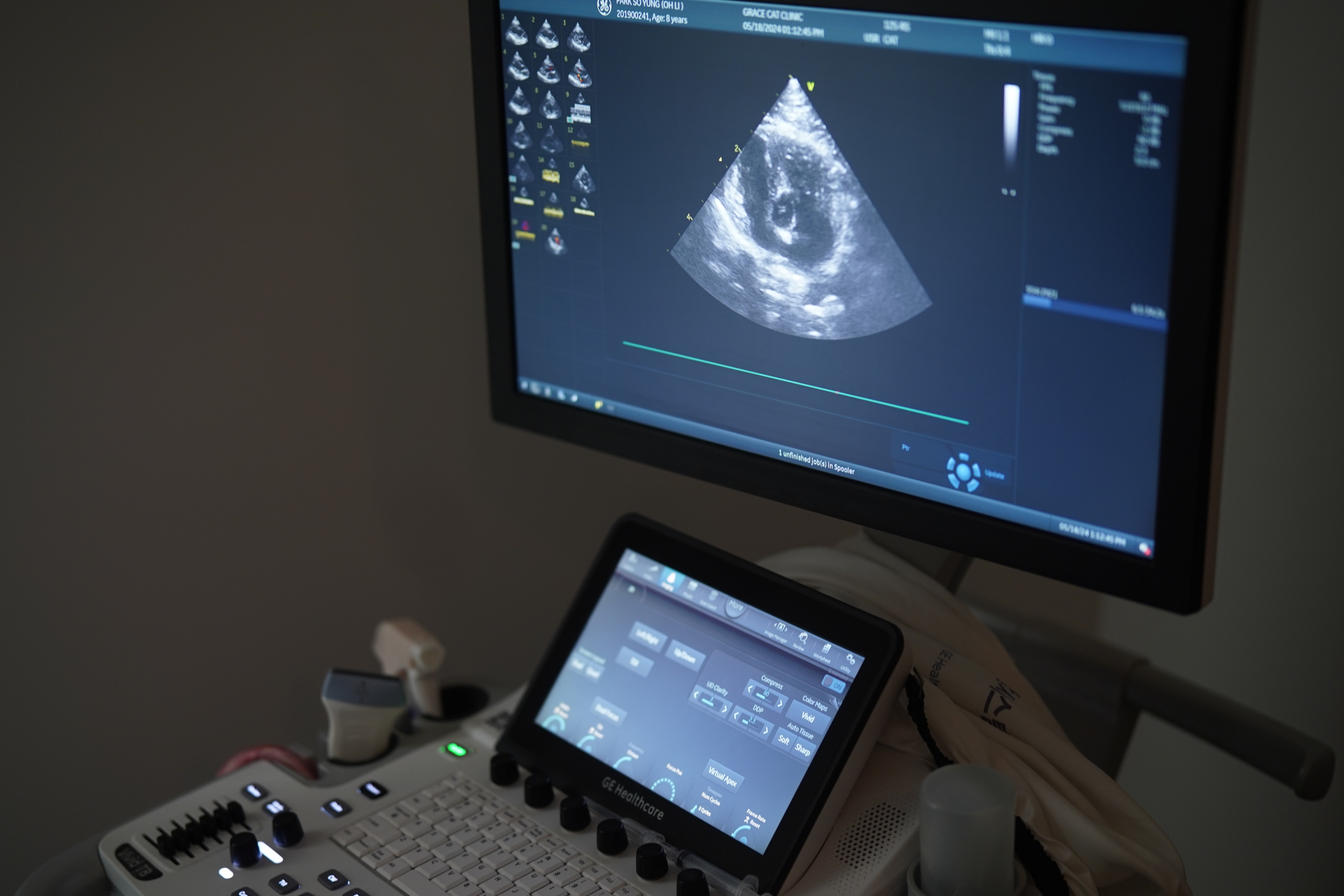 그레이스 고양이 병원 진료실