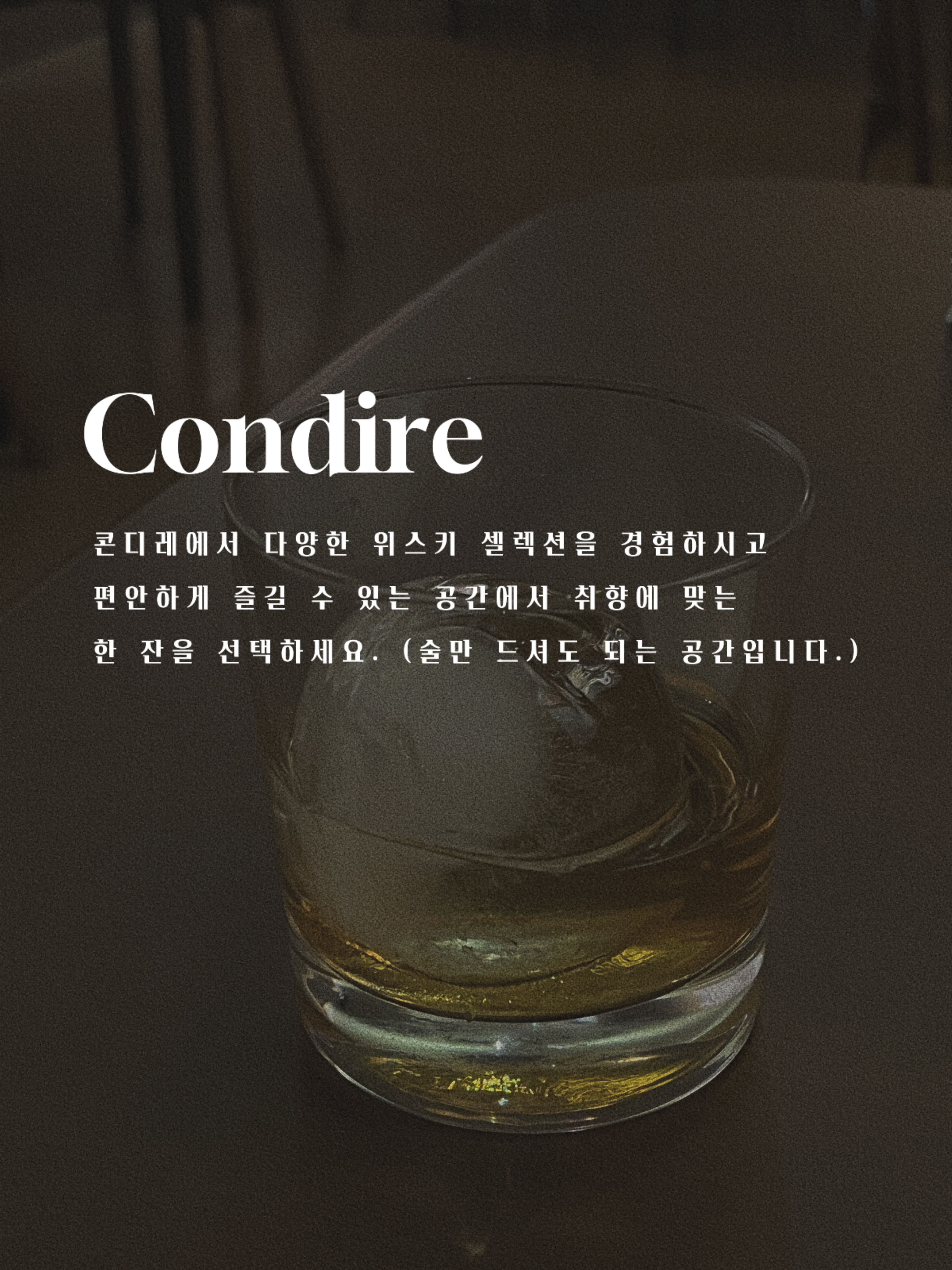 콘디레