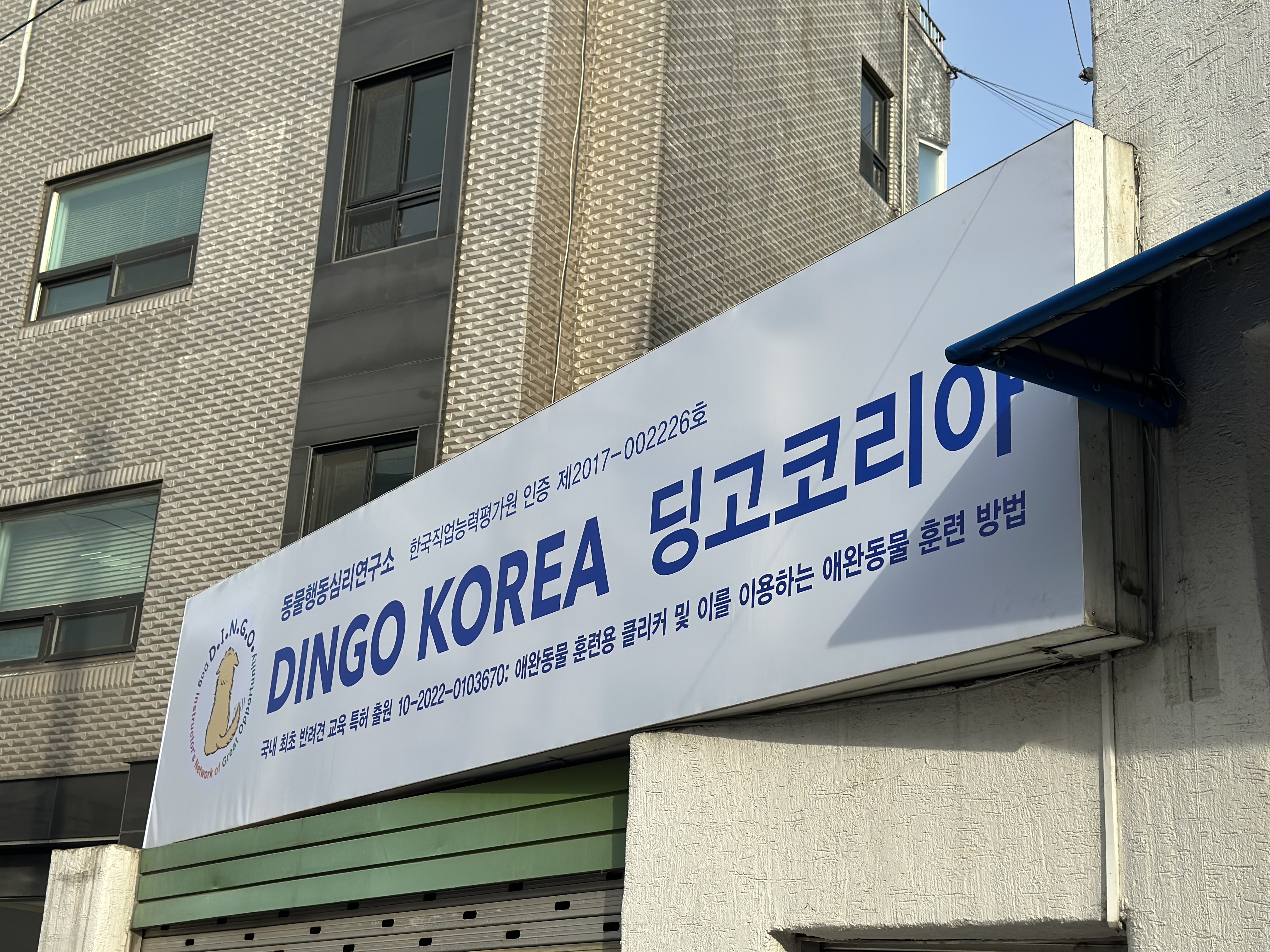 딩고코리아 대표 이미지