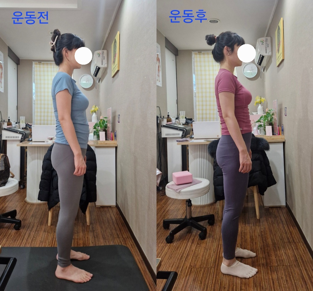 라파엘바디 photo 10