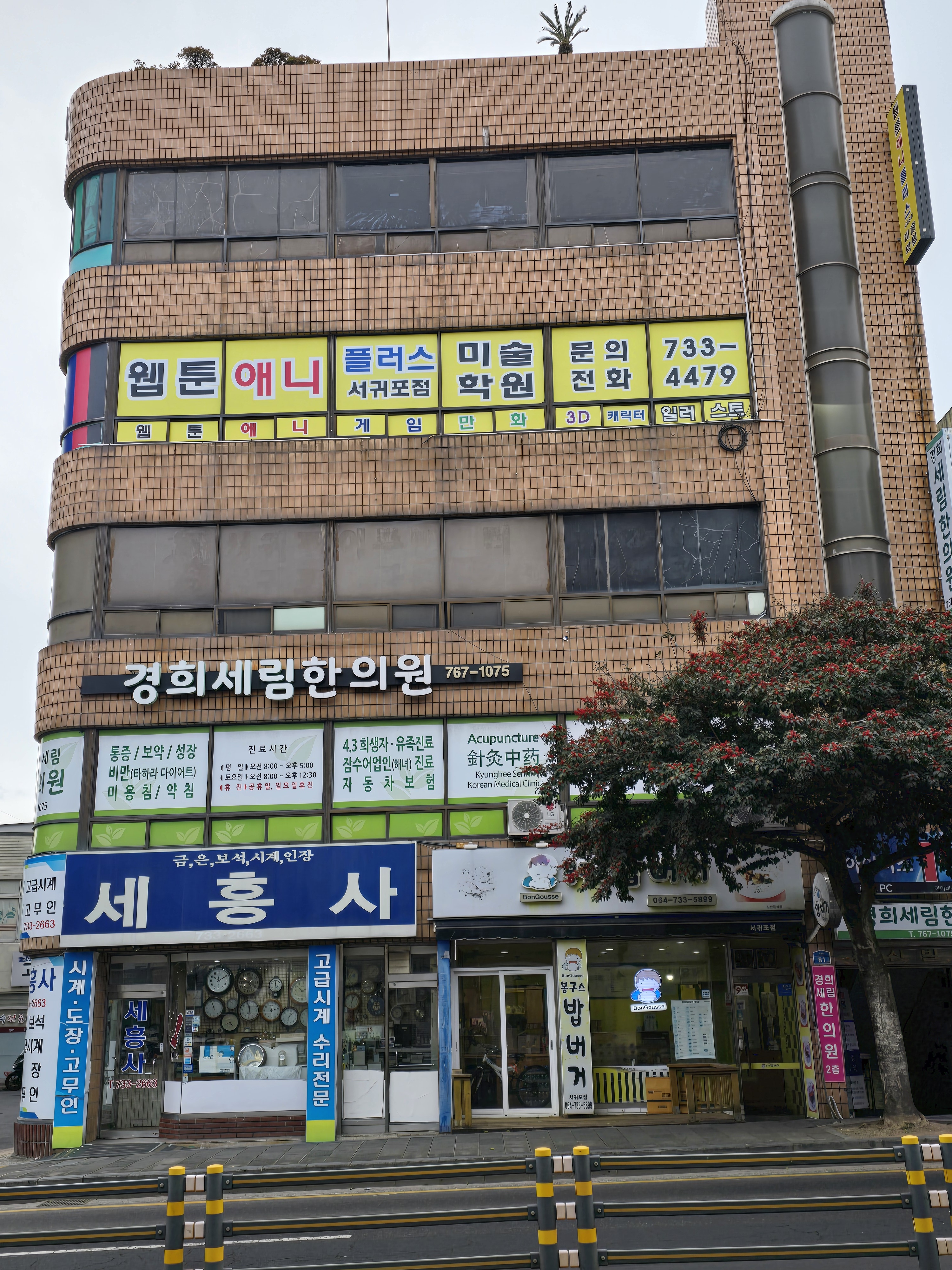 웹툰애니플러스 서귀포점미술학원
