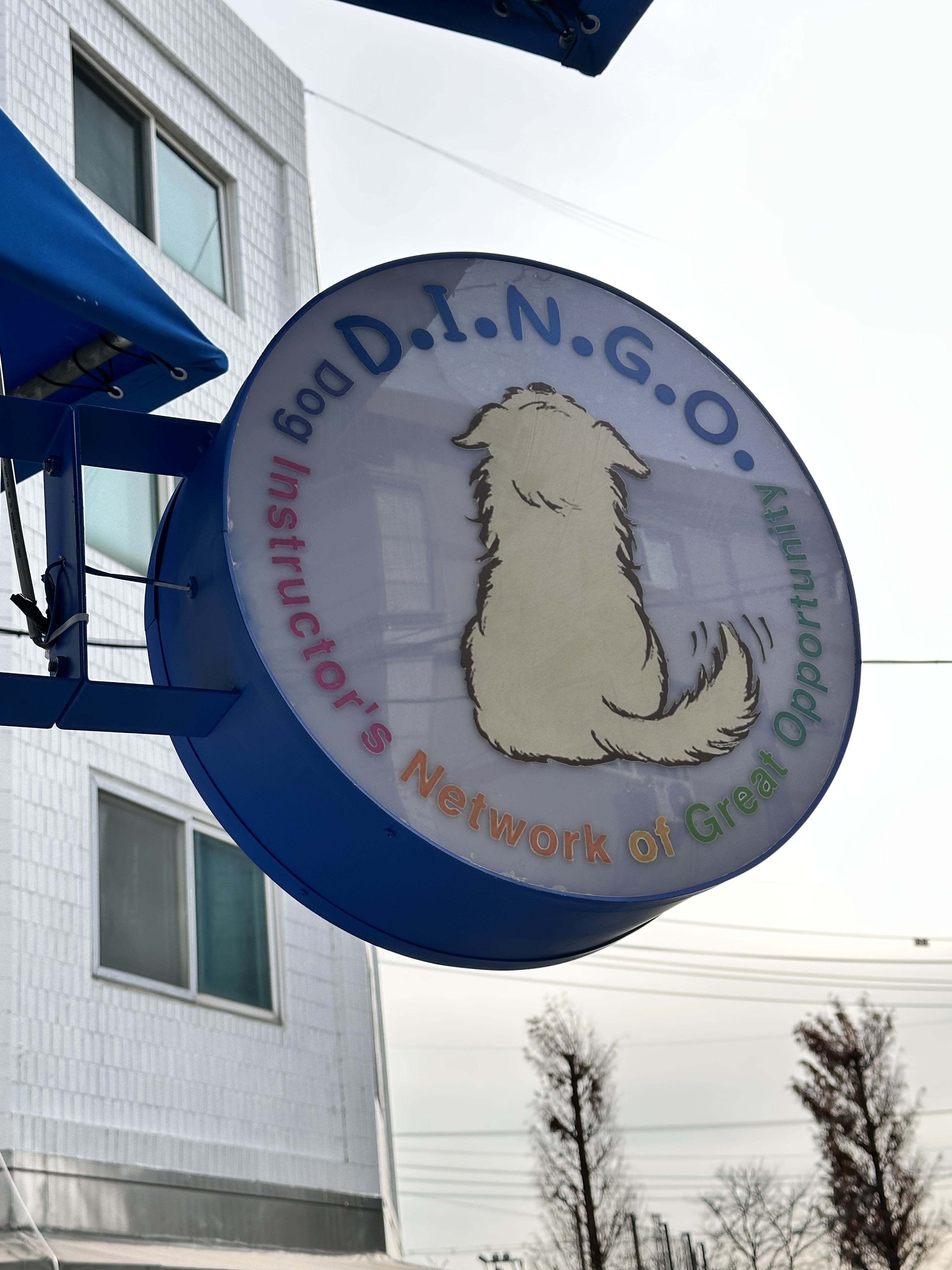 딩고코리아 반려견교육센터 대표 이미지