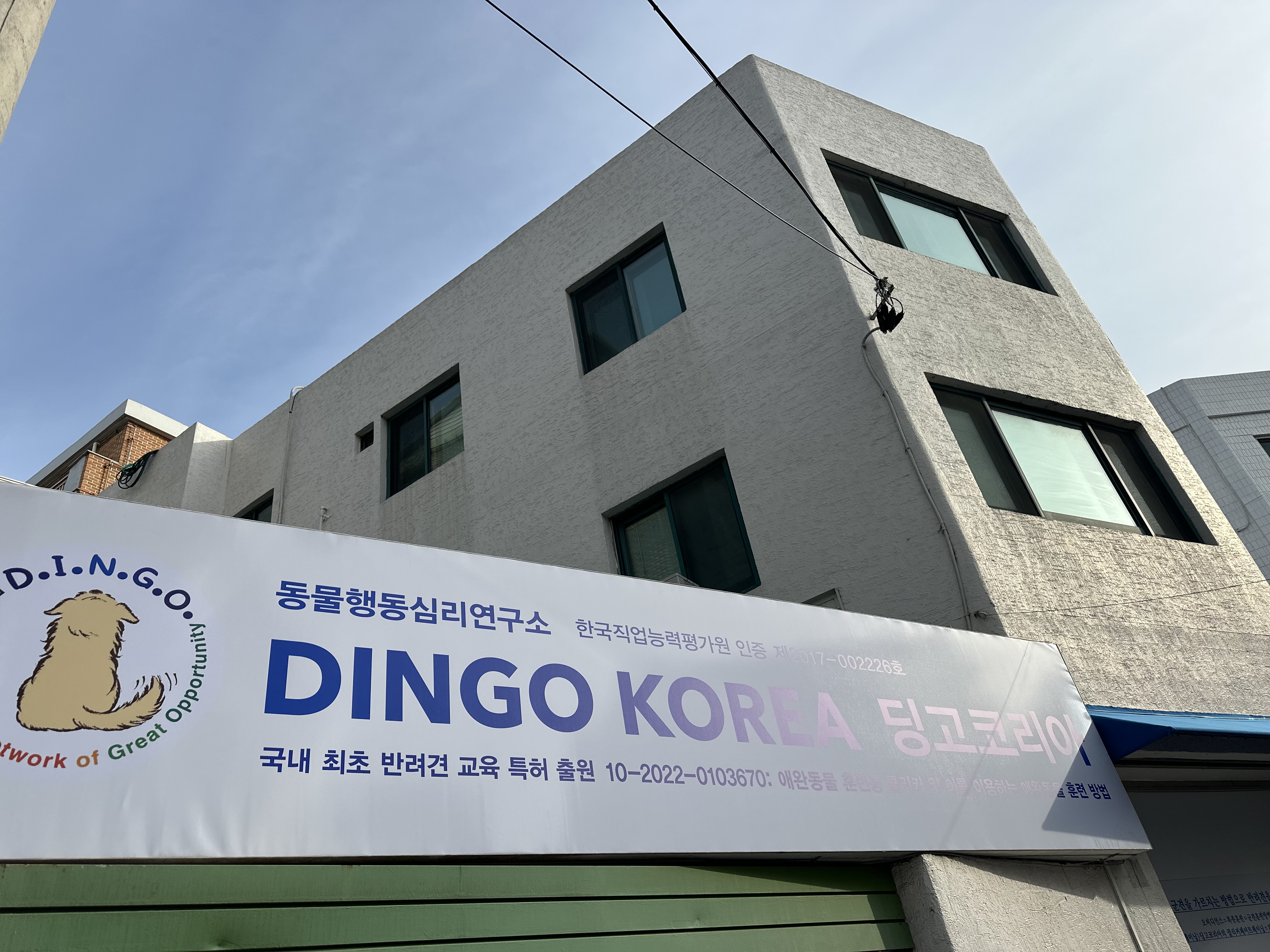 딩고코리아 대표 이미지