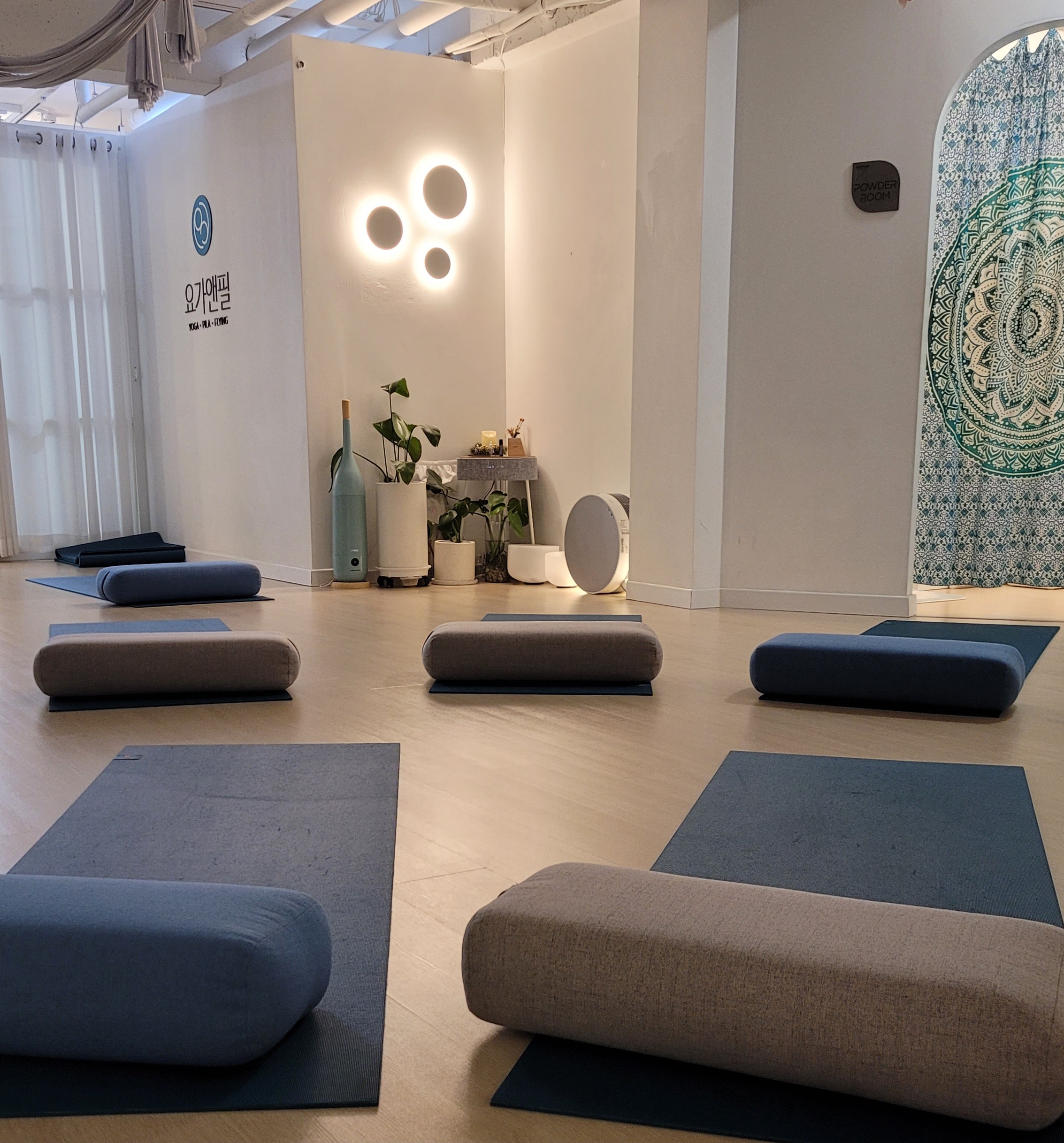 메디요가필라테스협회 대표 이미지