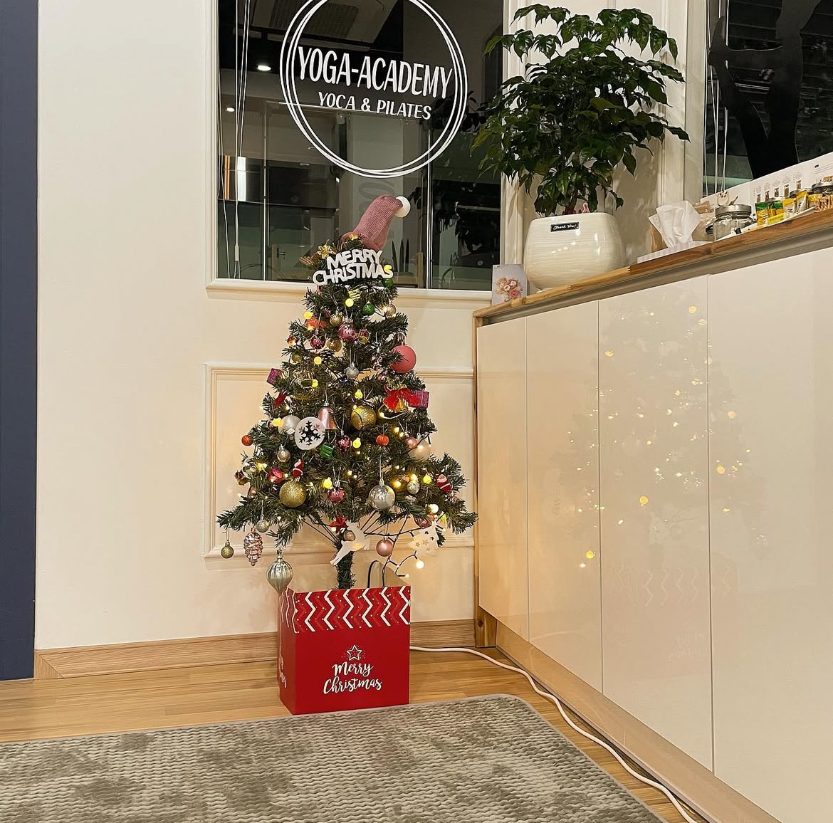 S요가아카데미 대표 이미지