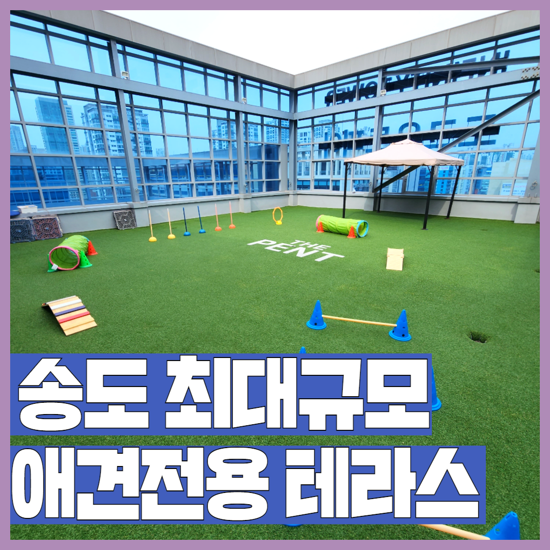 사진 2