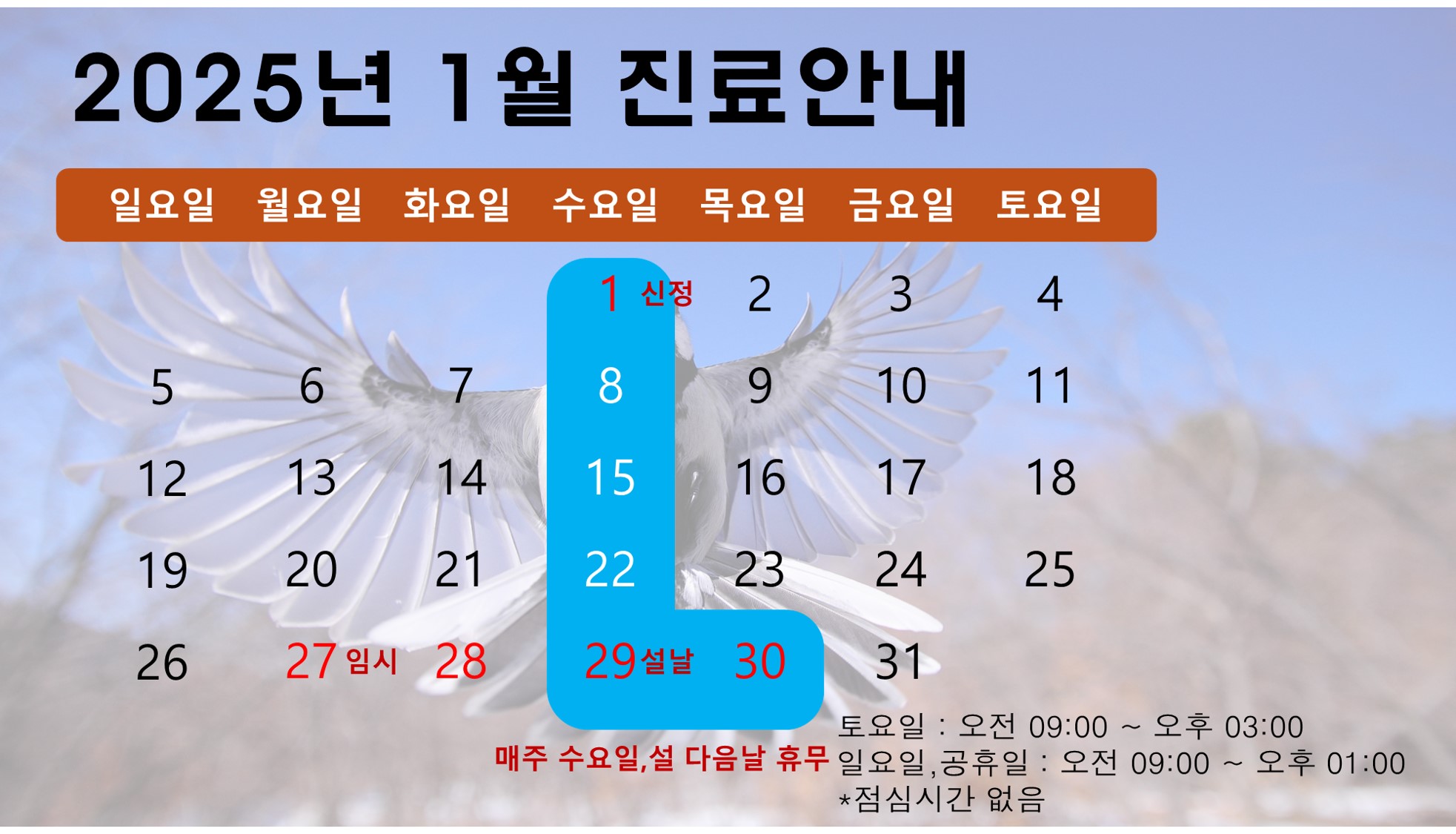 조석태마취통증의학과의원