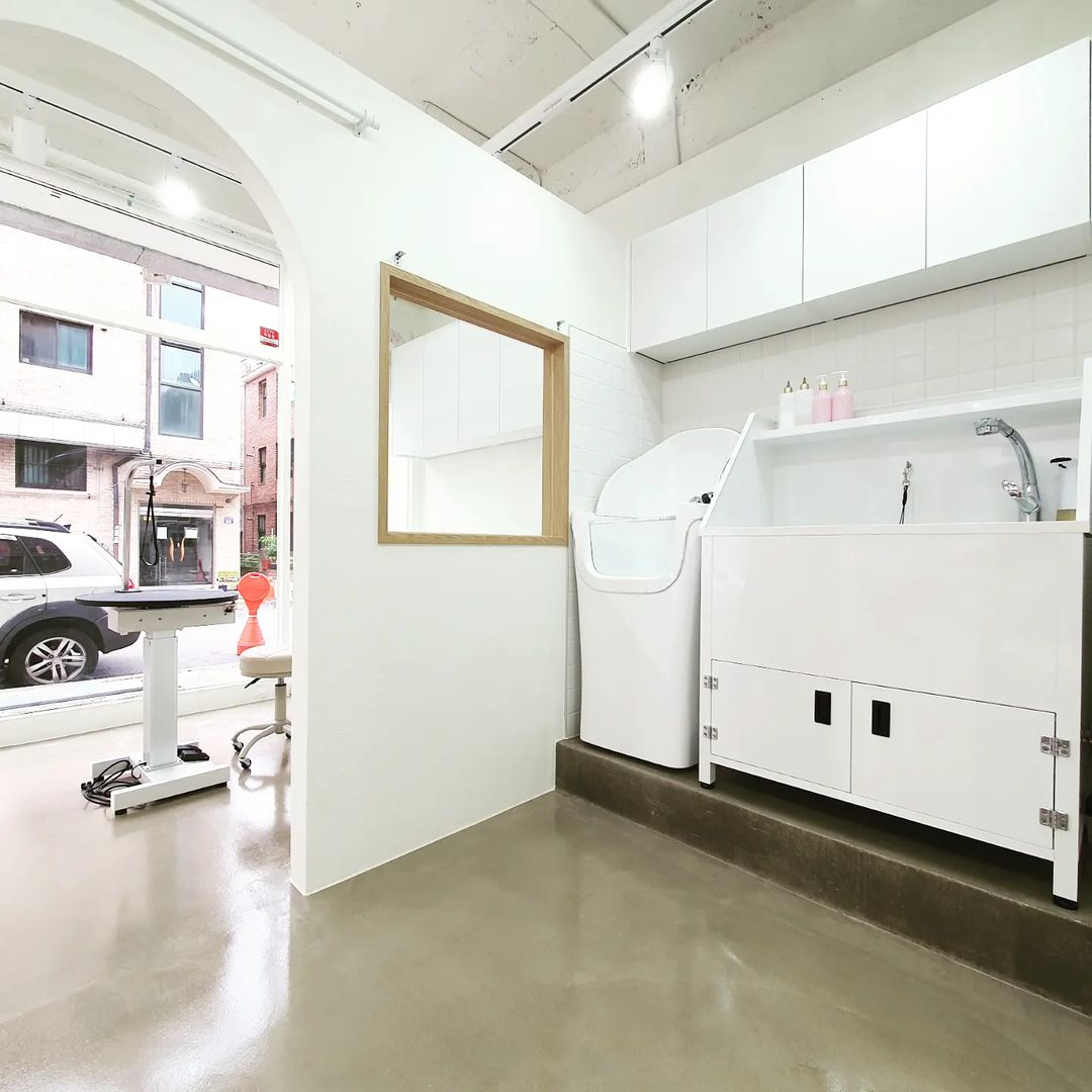 the예쁘개 photo 6