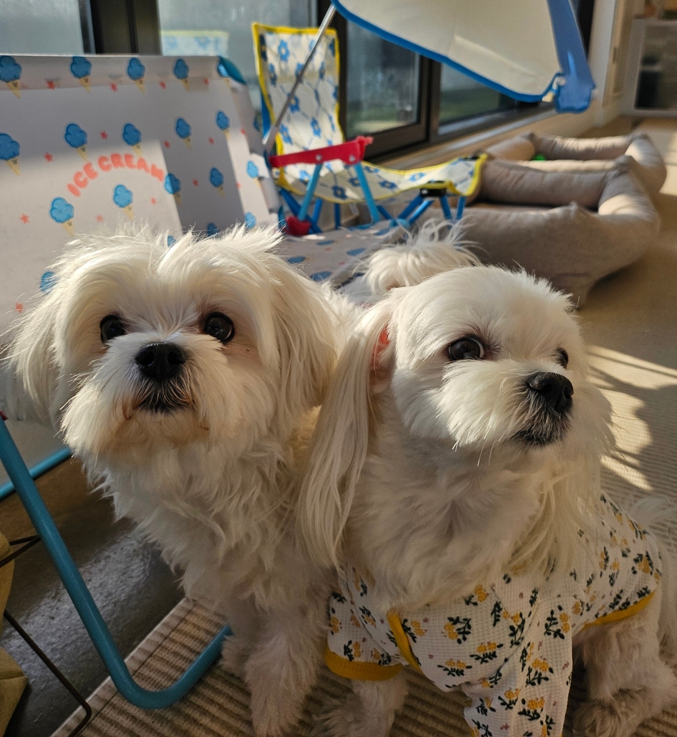 도기야드 대표 이미지