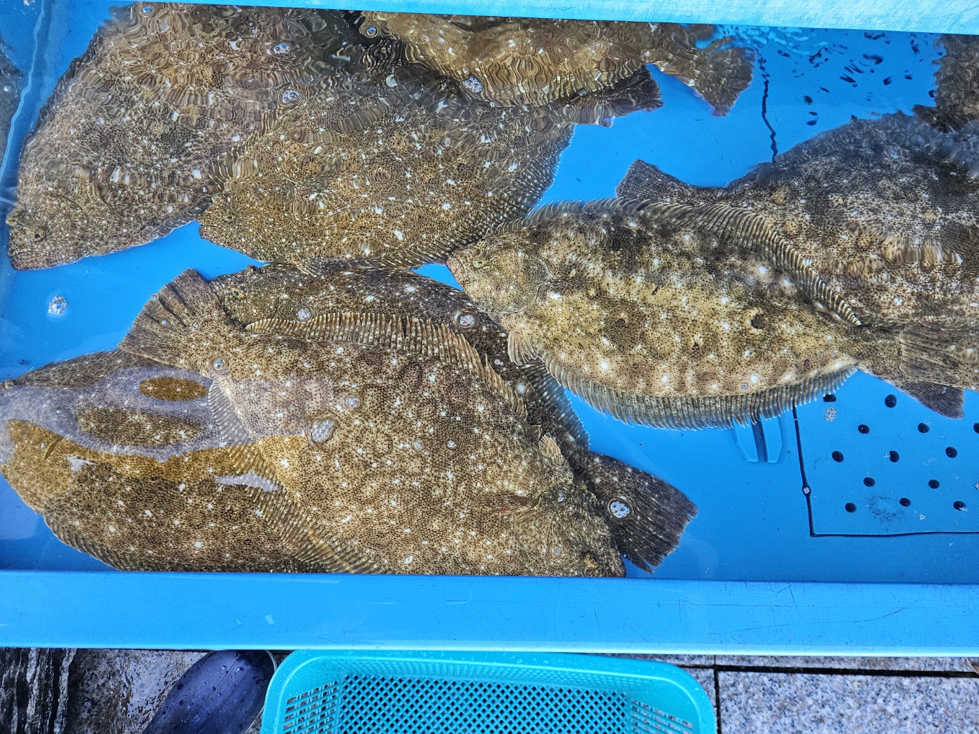 선재회타운