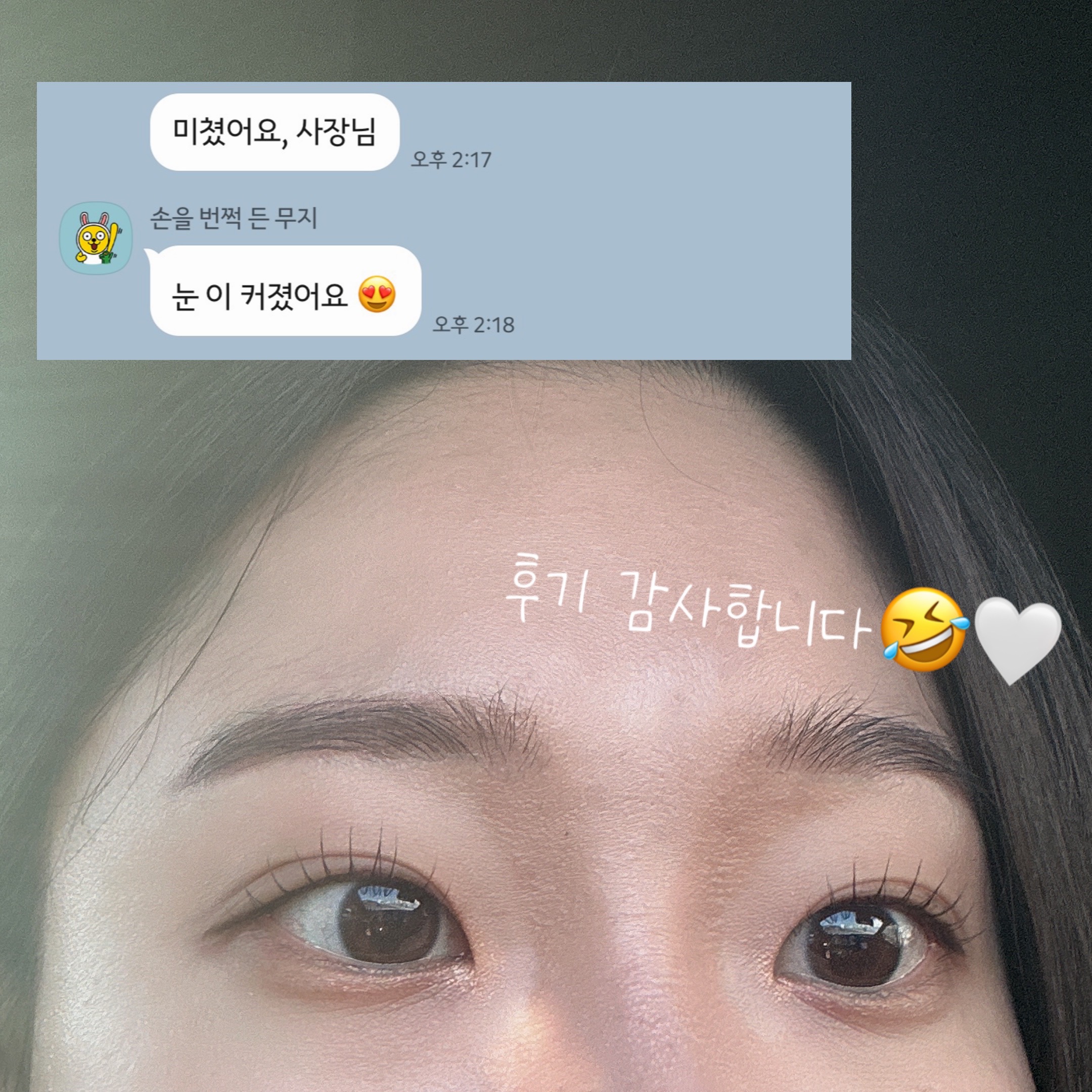 디브로우