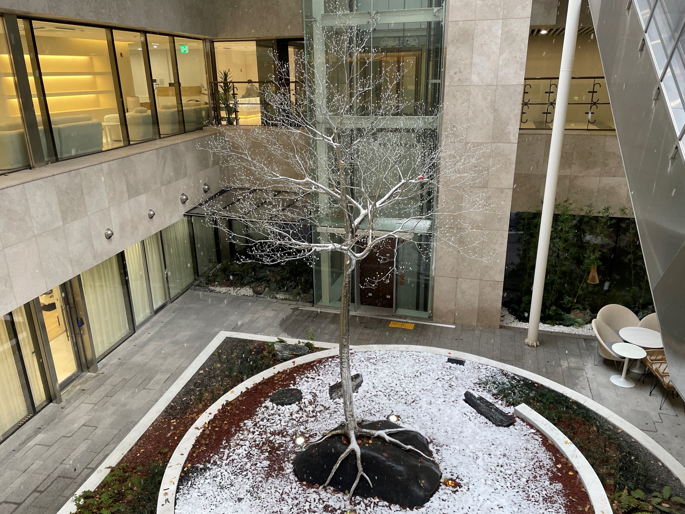 셀러블153강남의원