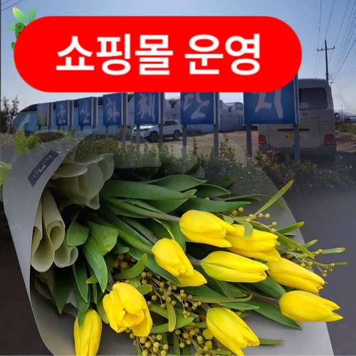 프로포즈