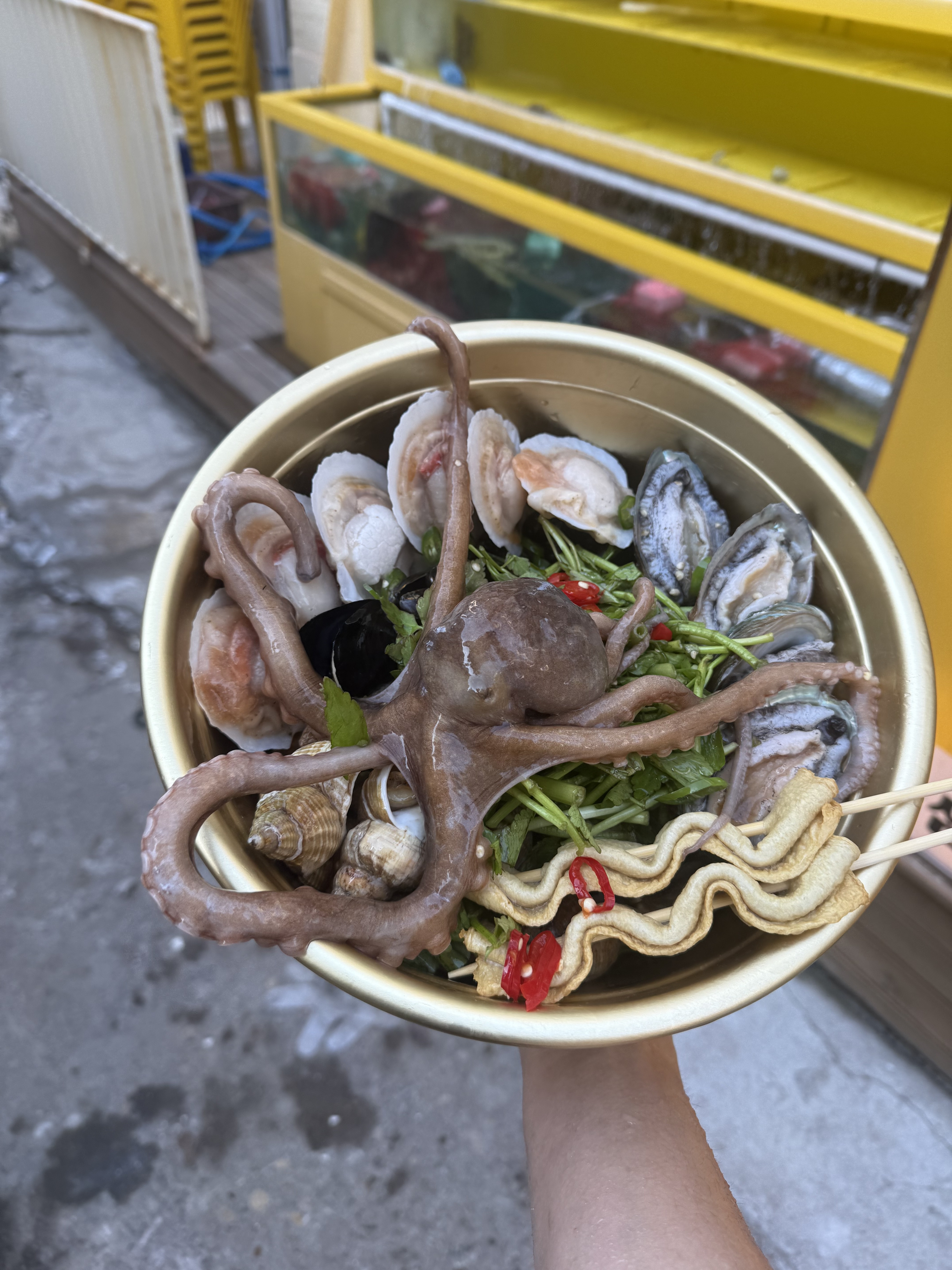 개나리부두