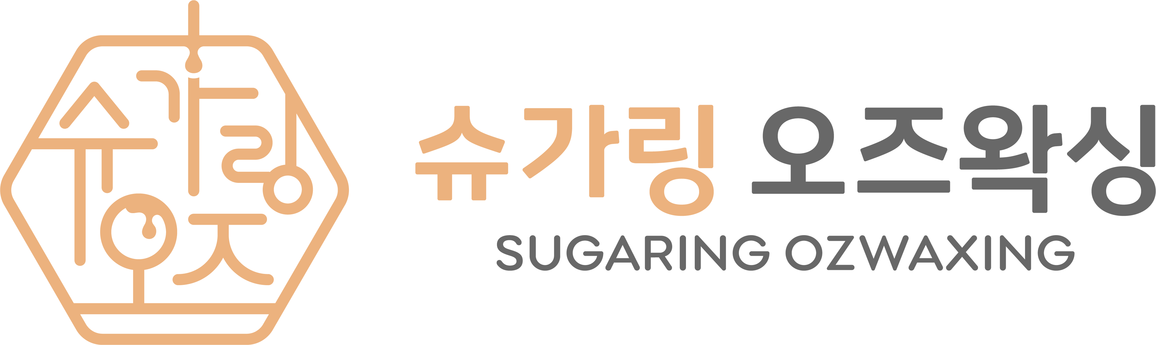슈가링 오즈왁싱