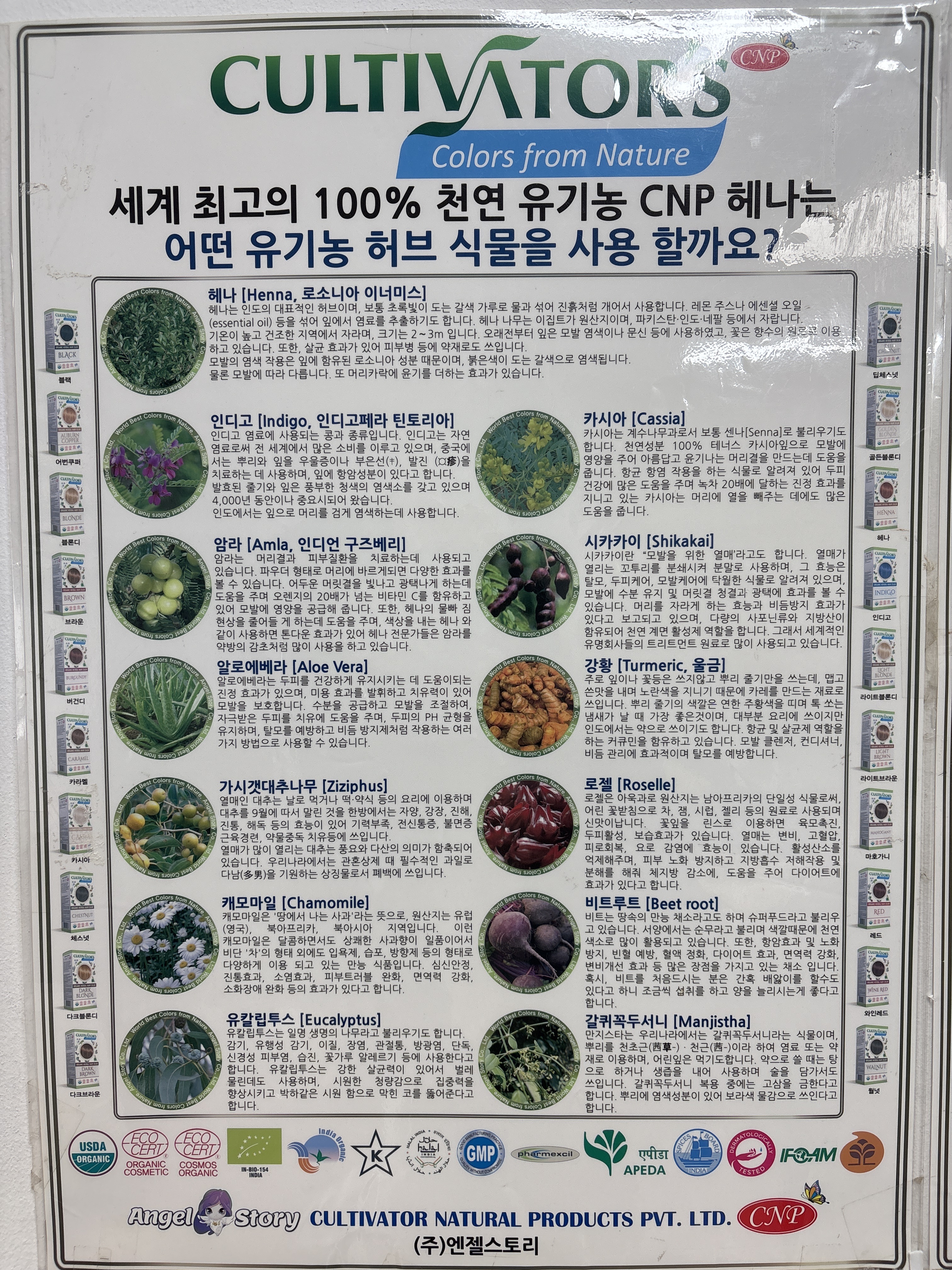 엔젤천연헤나
