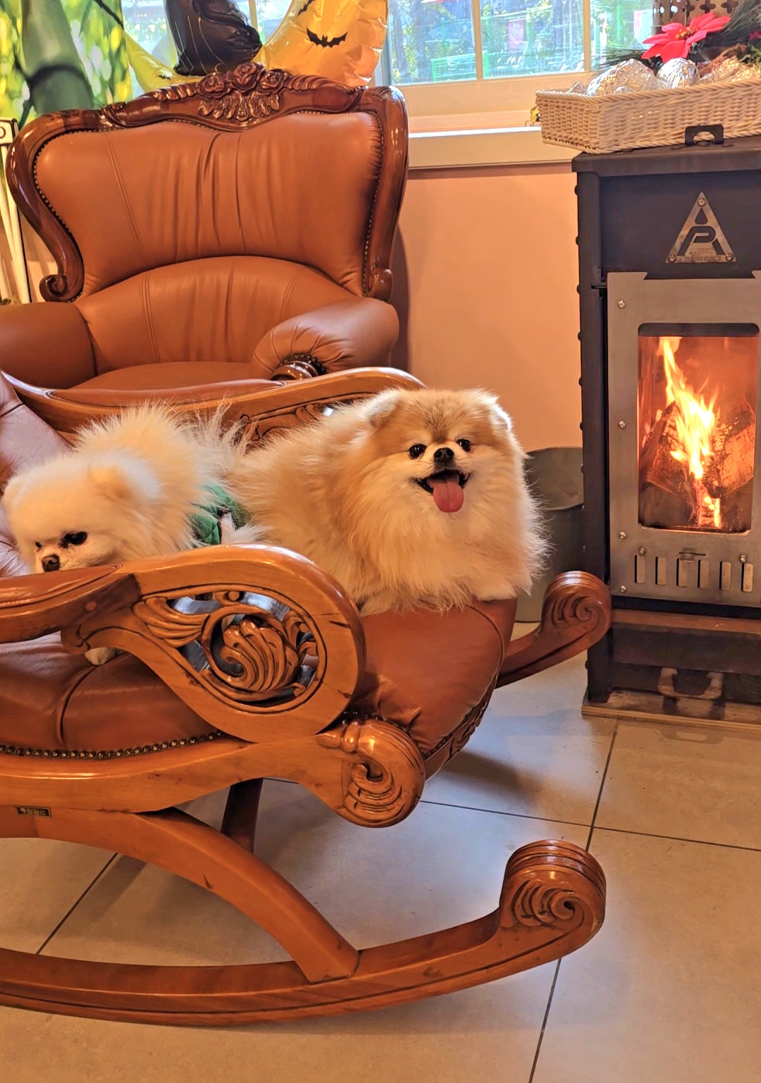 개떼놀이터 남양주 대표 이미지