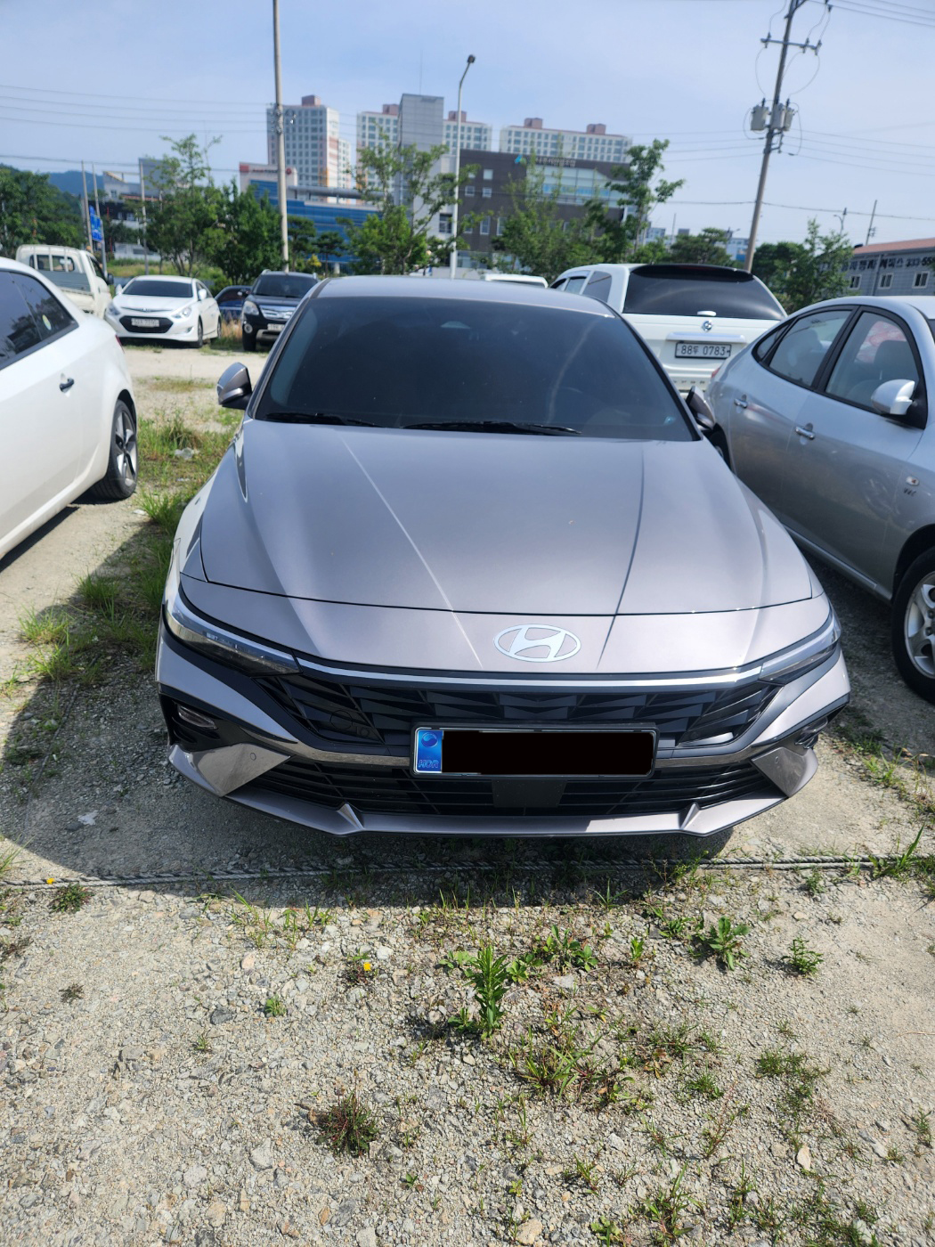 동서남북렌트카
