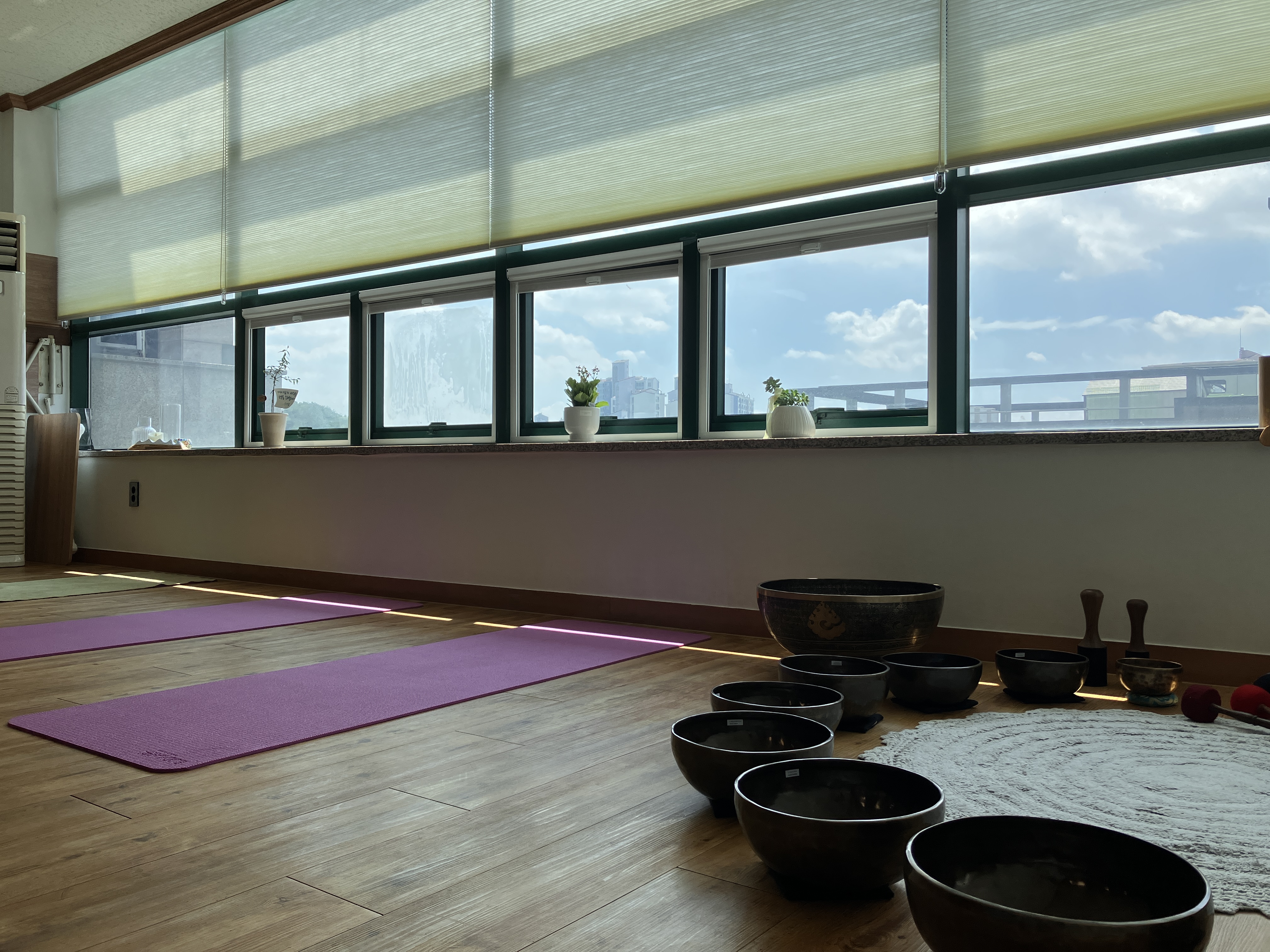 마더요가아쉬람 대표 이미지