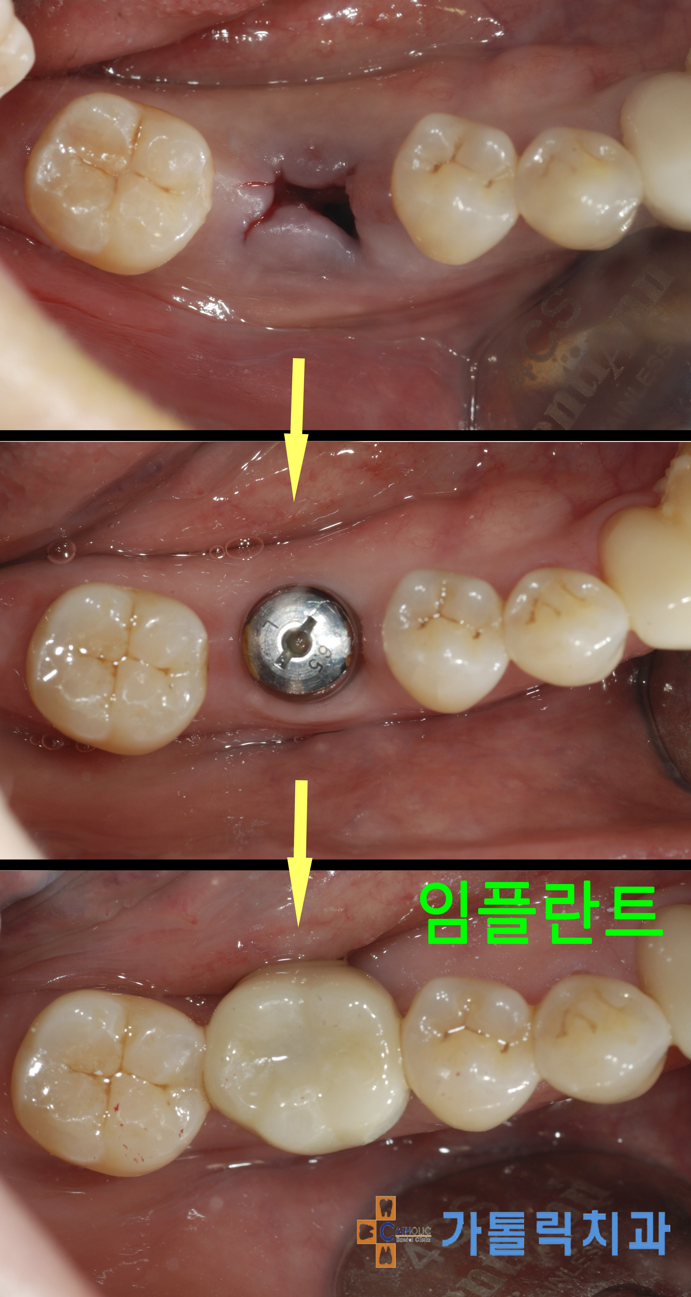 가톨릭치과의원 대표 이미지