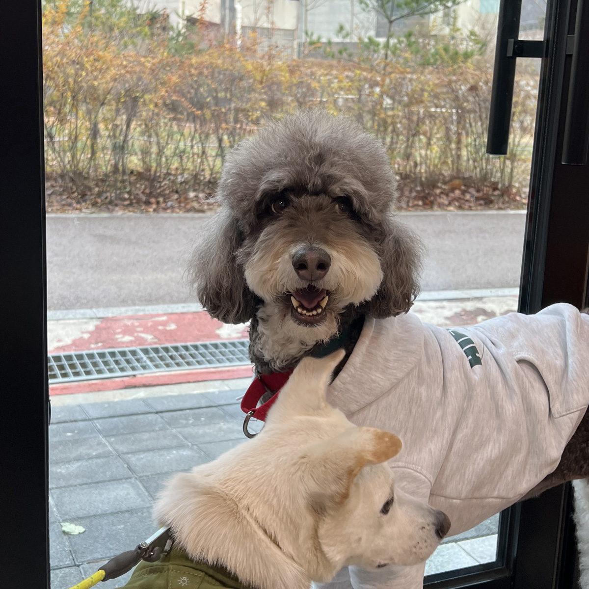 하이파이브모먼츠 대표 이미지