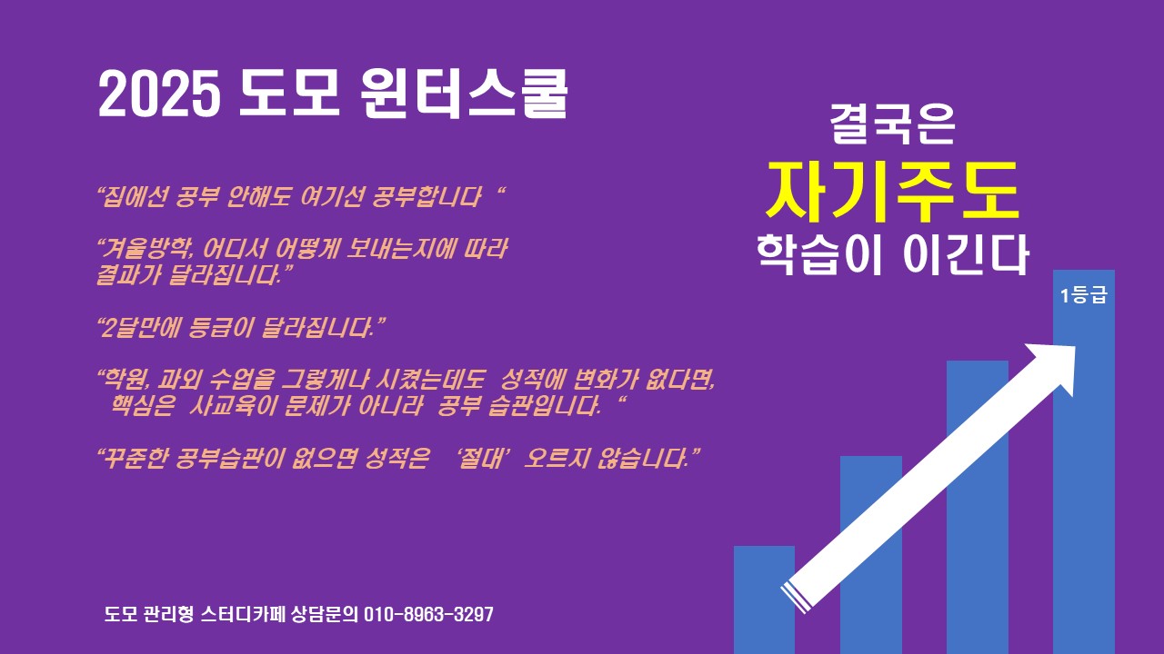 도모스터디카페