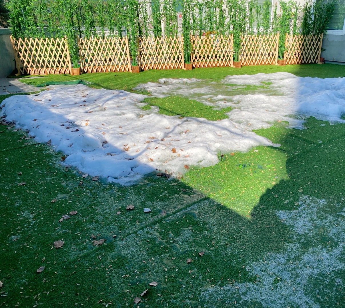 스위트독 대표 이미지