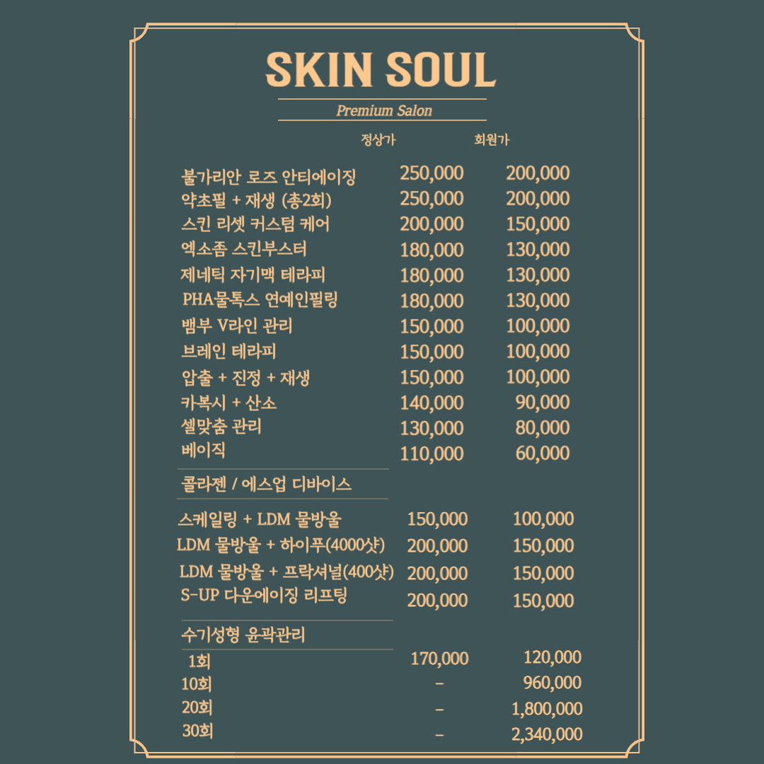 스킨소울