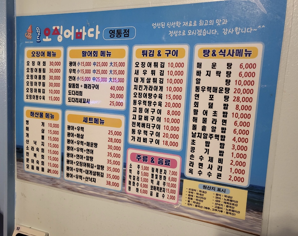 월드오징어바다