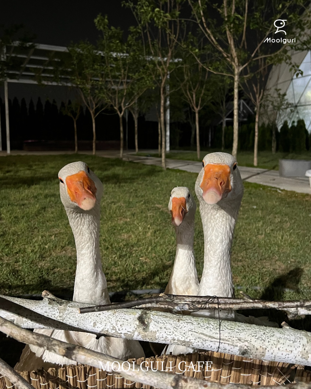 물구리빵집 대표 이미지