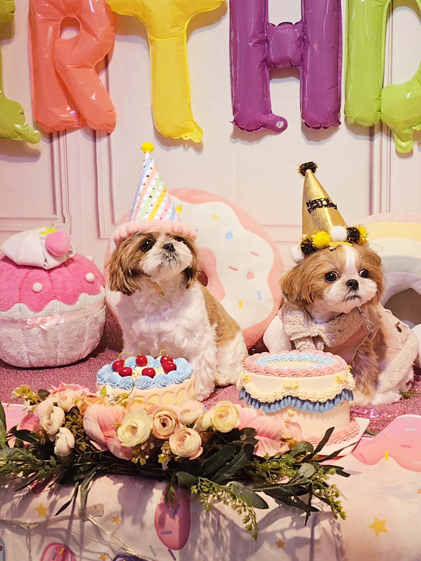 개떼놀이터 남양주 애견운동장 대표 이미지