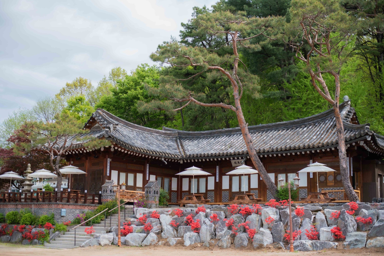 예전경양식