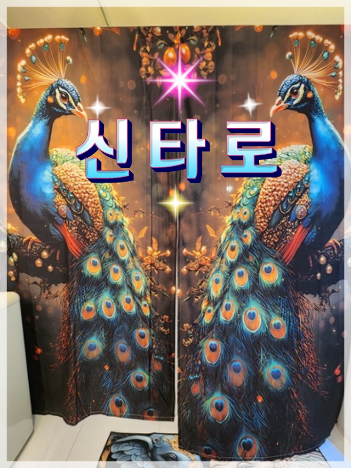 신타로