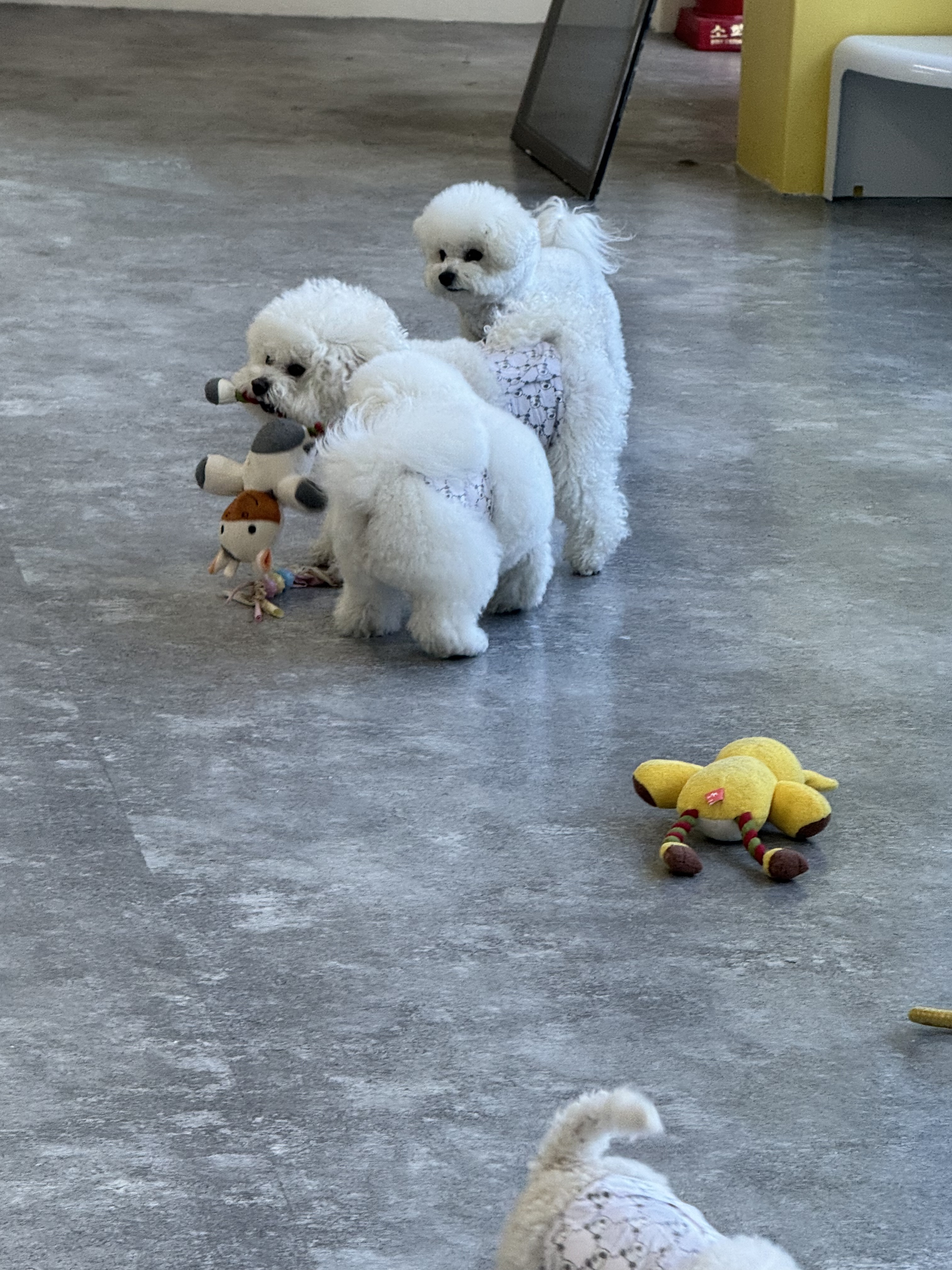 개인의집 대표 이미지