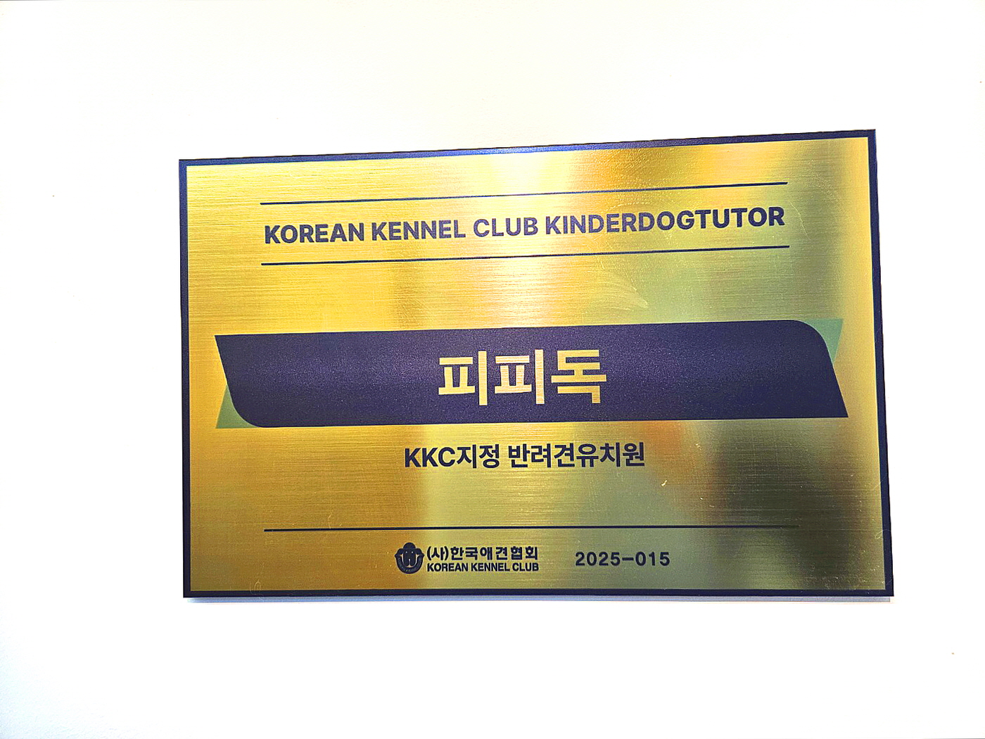 피피독 동탄애견유치원 대표 이미지