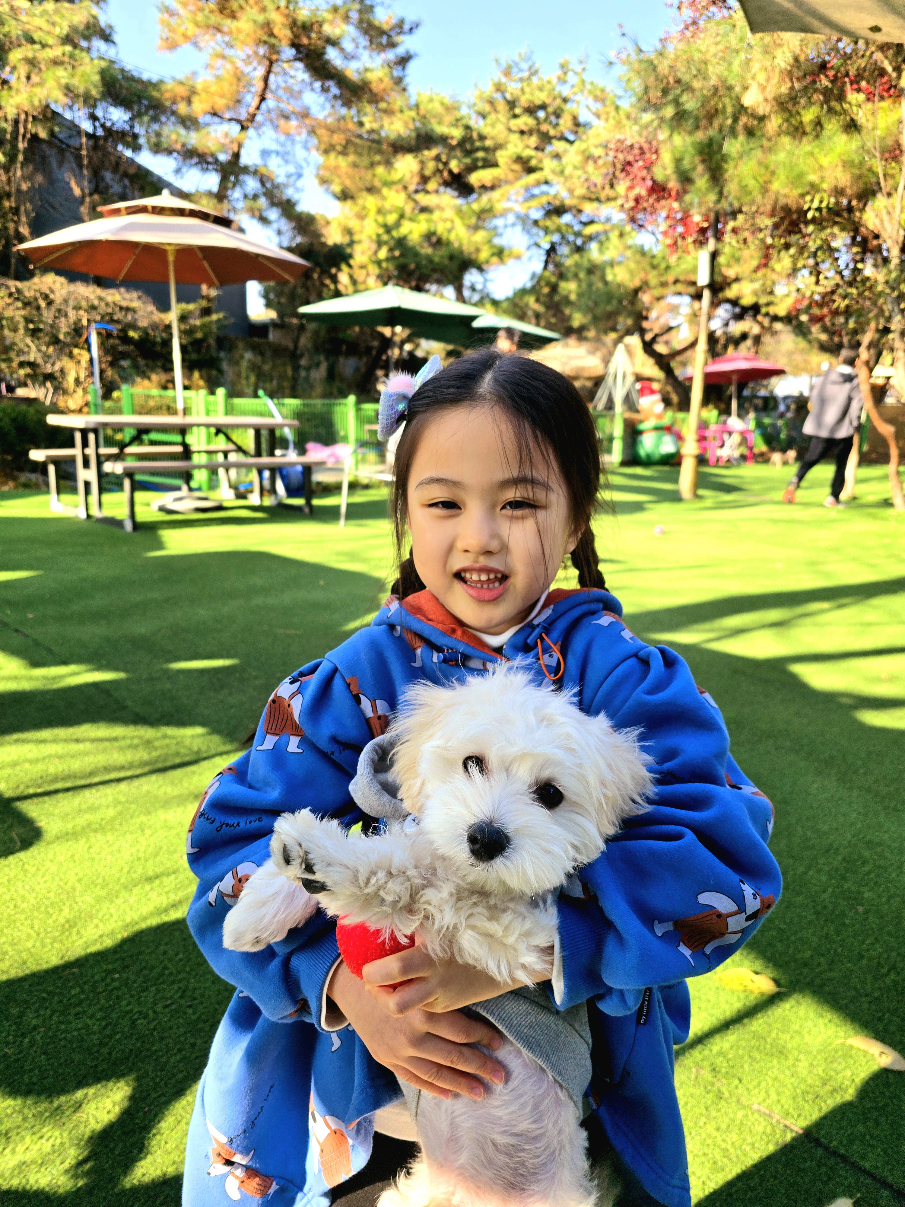 개떼놀이터 남양주 애견운동장 강아지놀이터 펫 반려견 사진 2