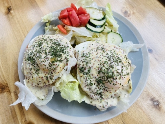 카페아리아