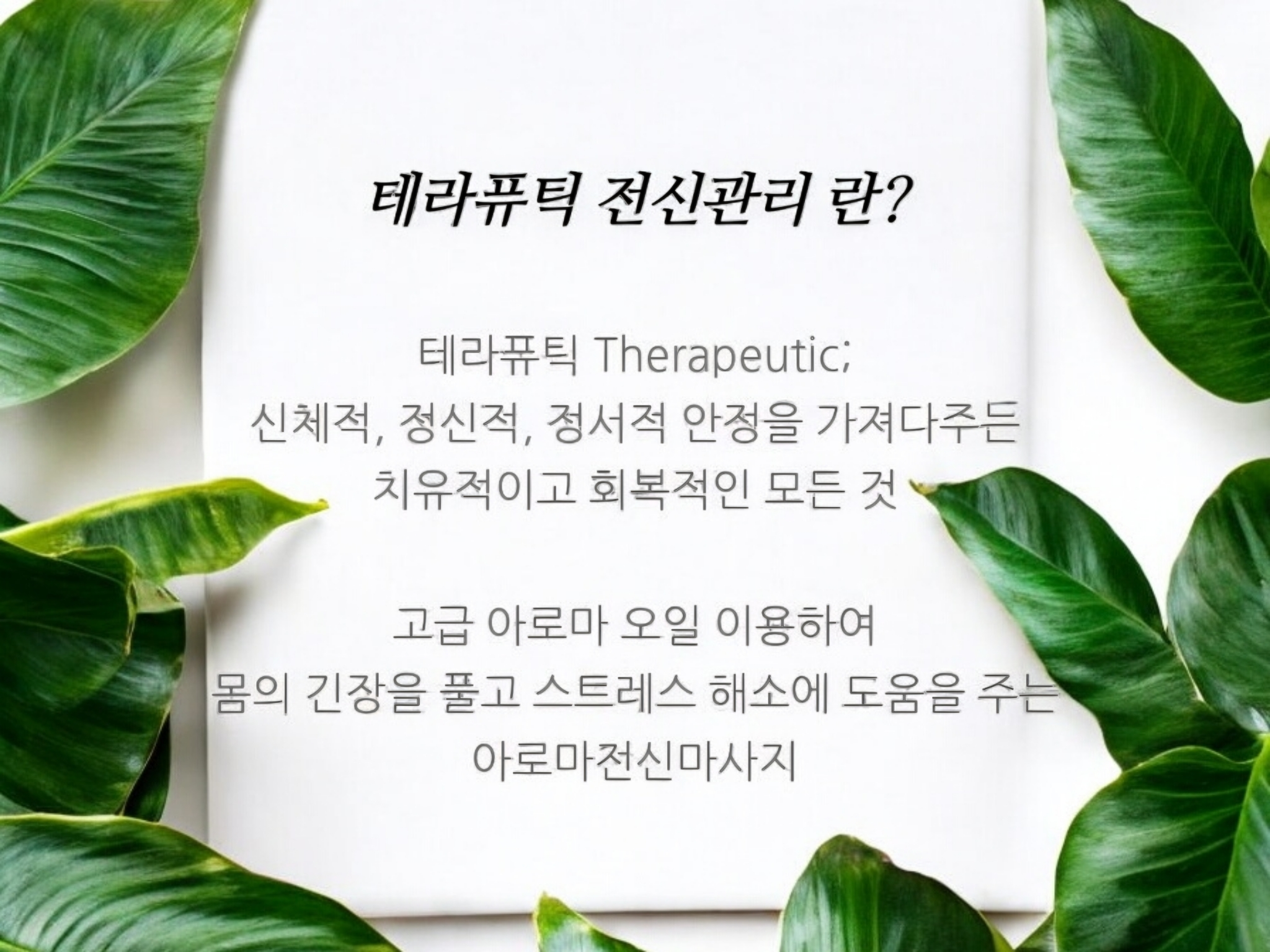 약손언니스킨앤바디