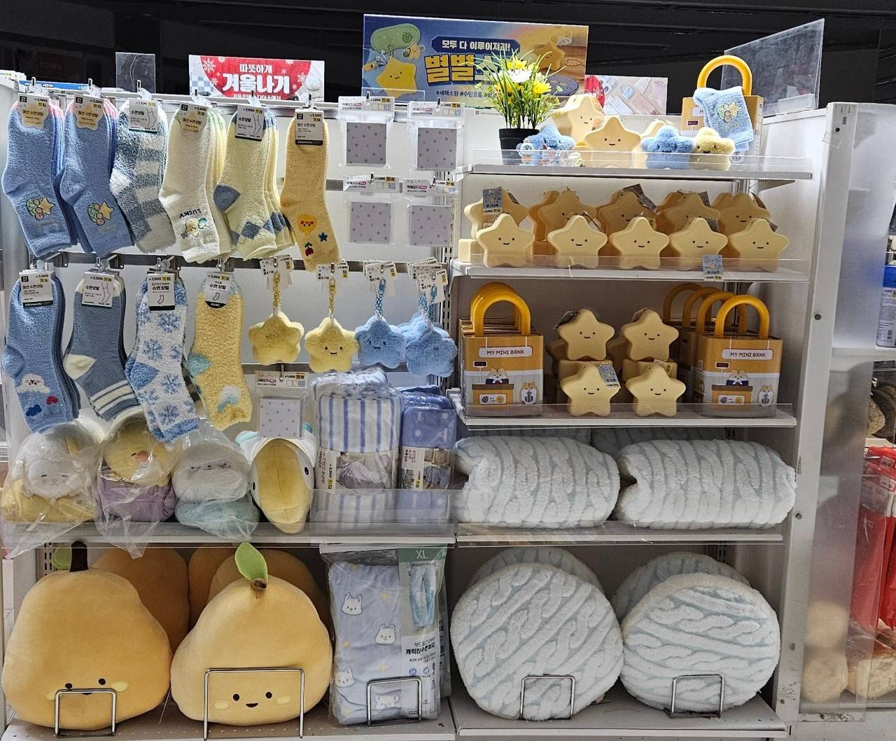 다이소 목포광장점 대표 이미지