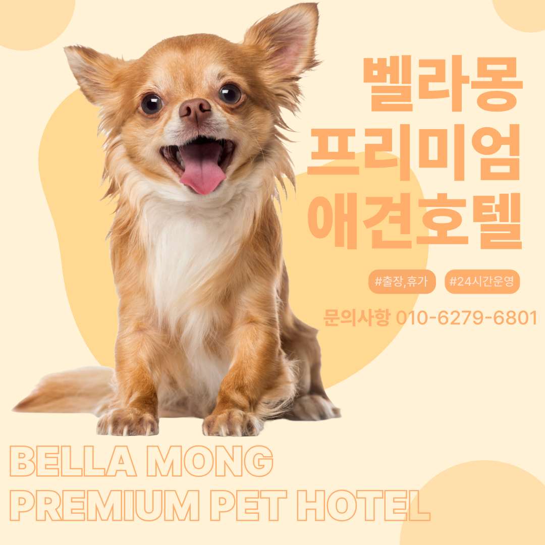 벨라몽 애견호텔