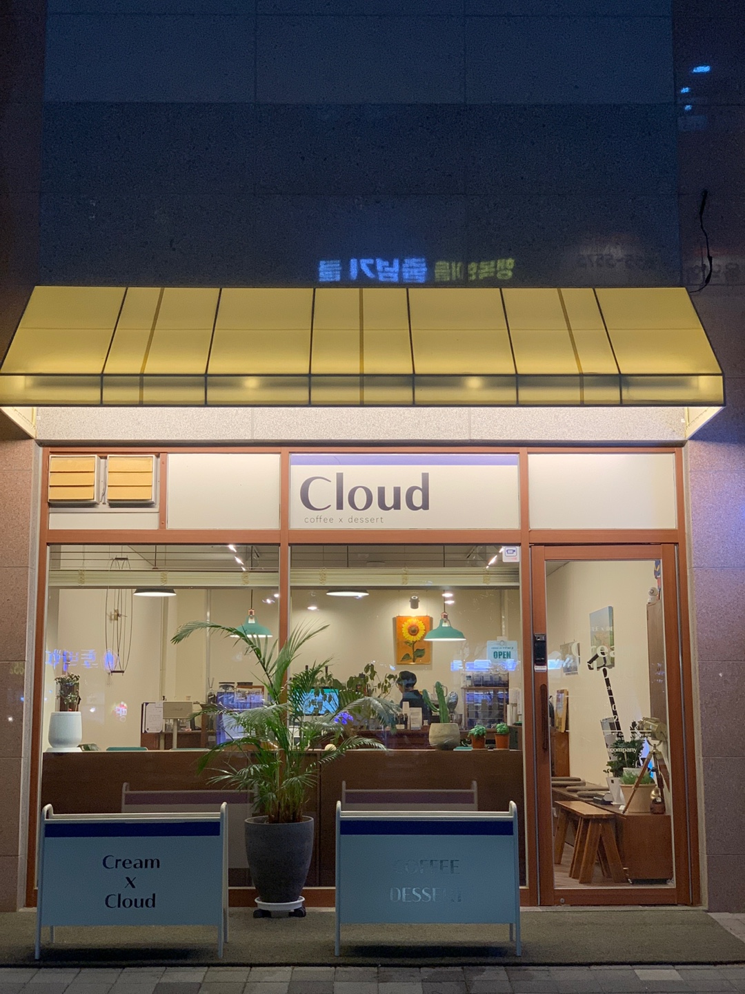크림X클라우드 경상 애견맛집